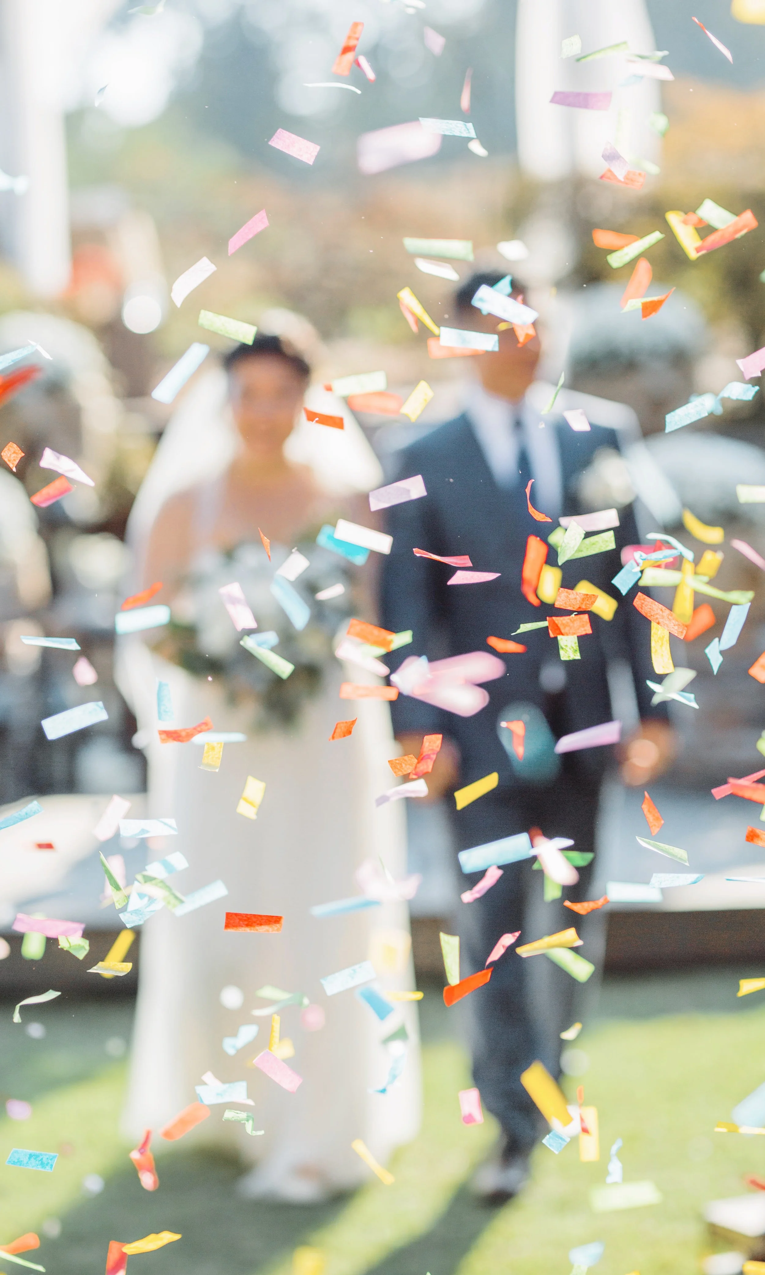 faq confetti.jpg