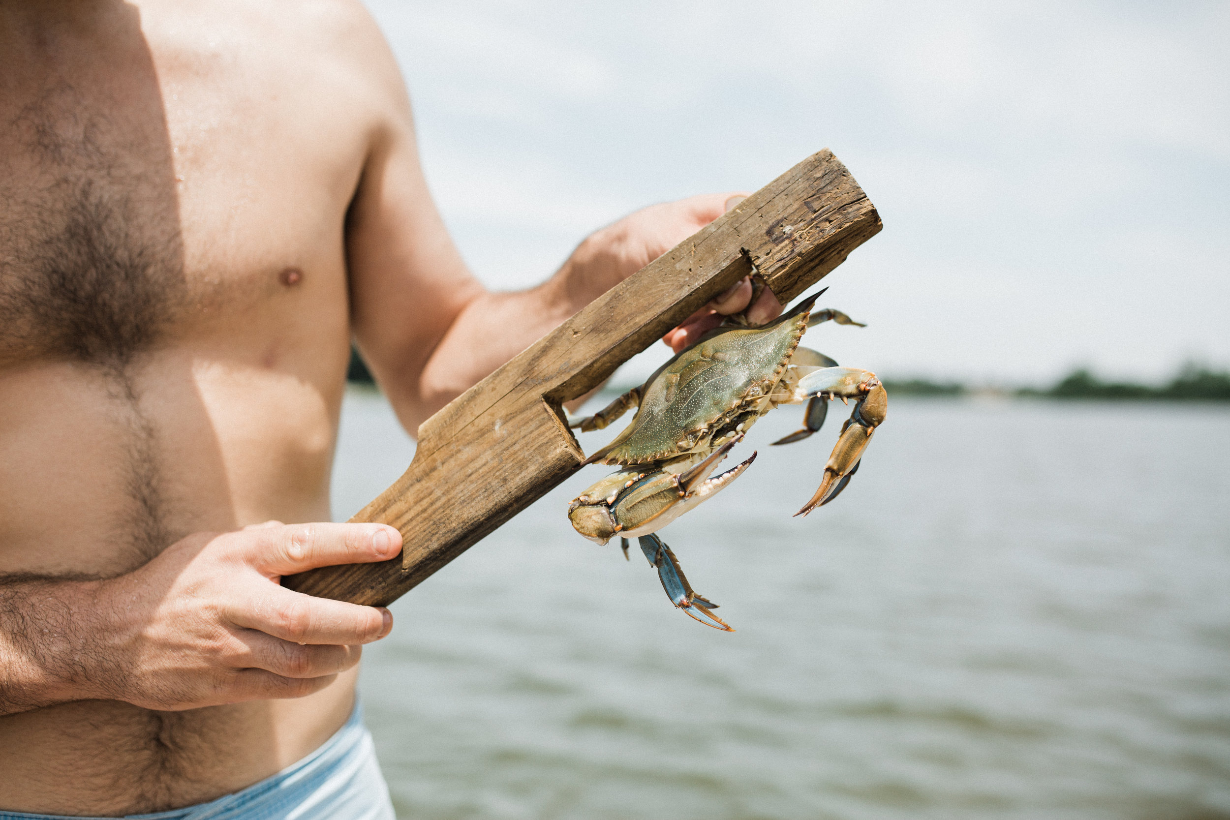 crabs-19.jpg