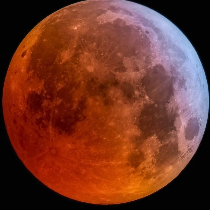 46953142401_331717bb41_b.jpg