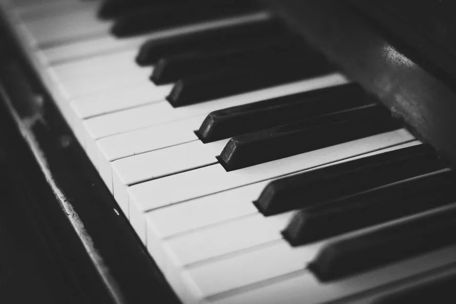 instrumentalist.jpg