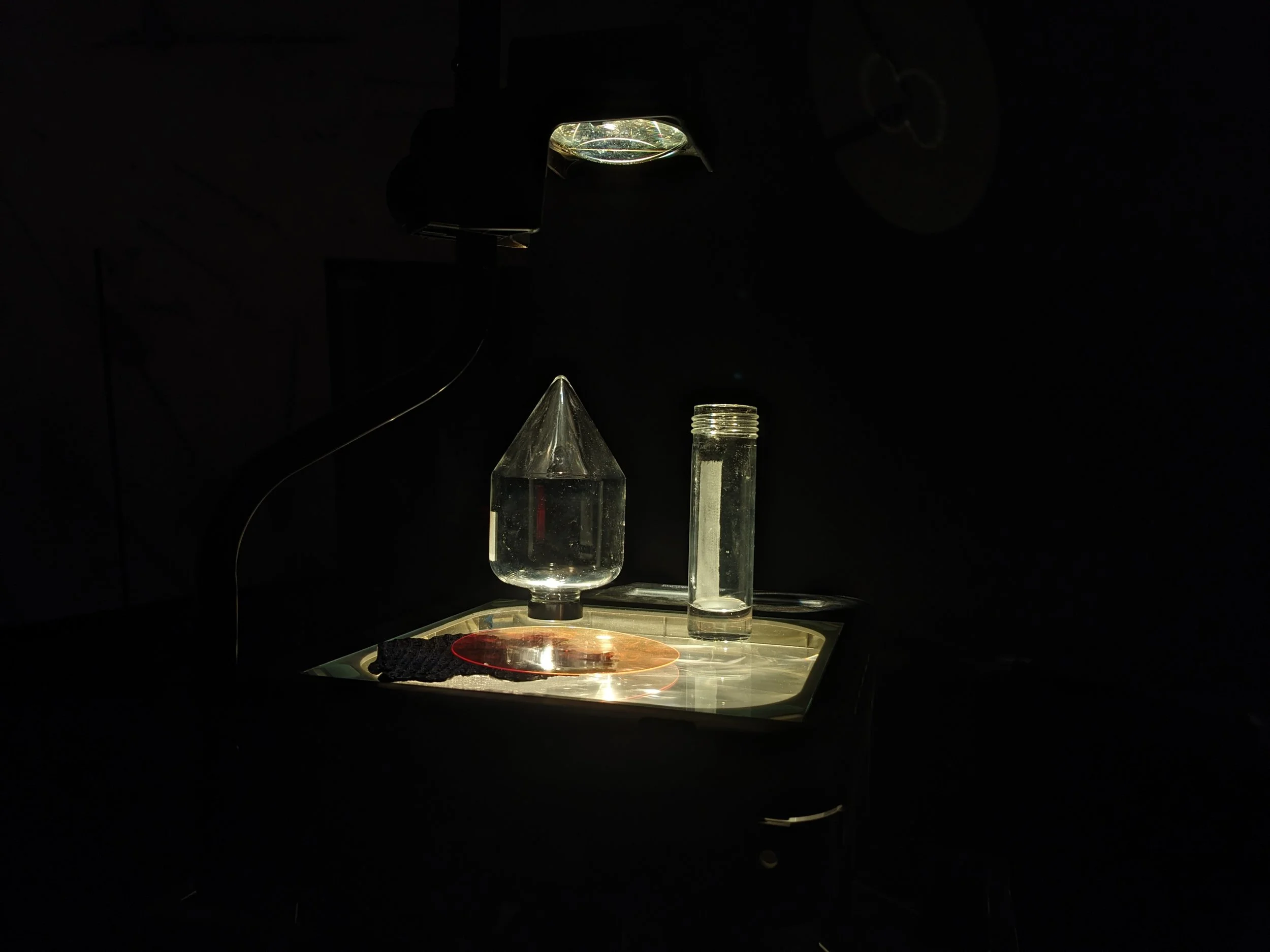 PXL_20241018_014154498.jpg
