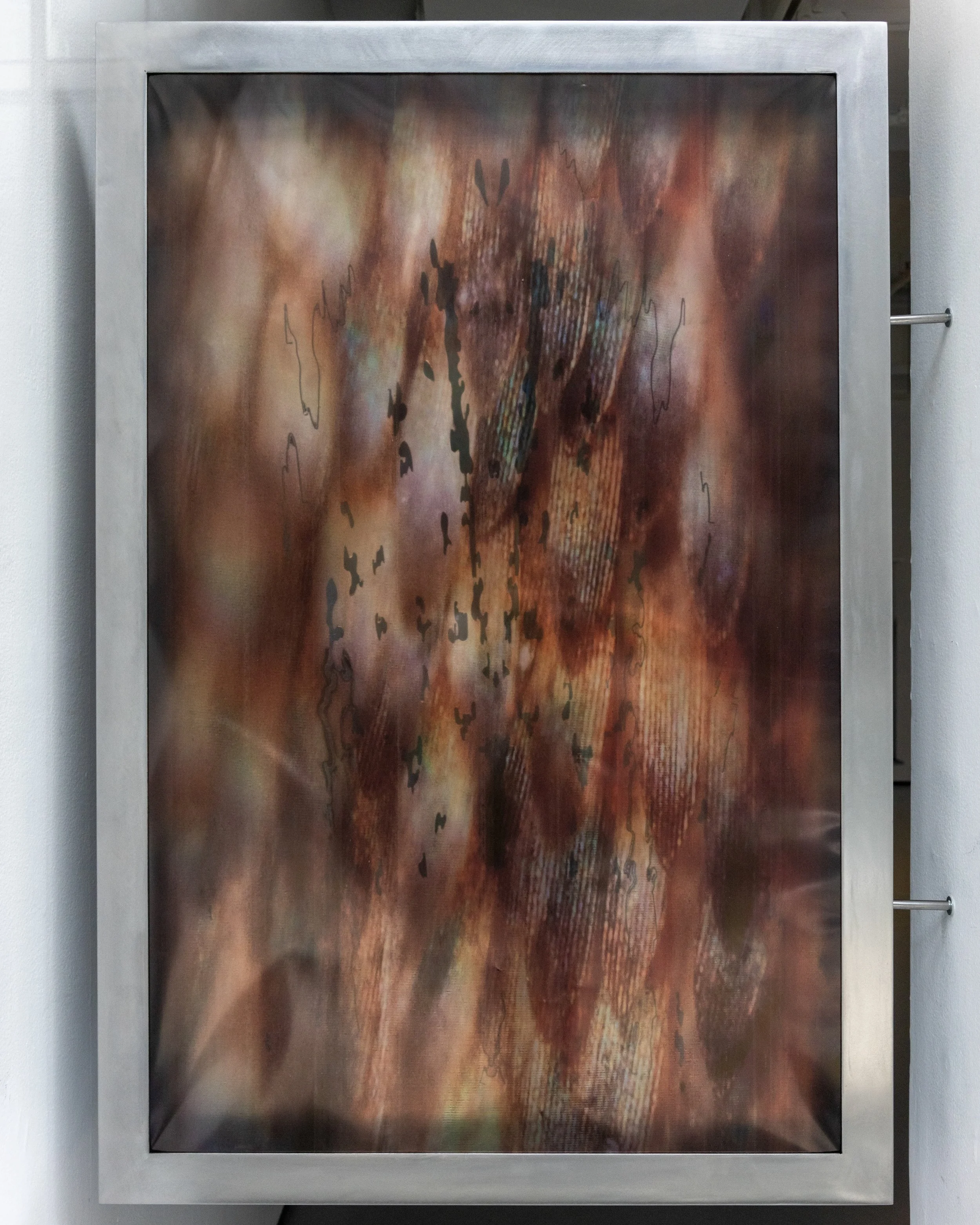 2. On the form of the teeth_2025_WEB.jpeg