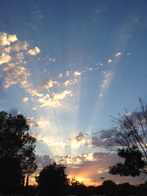 Summer sunset