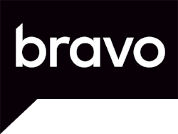 BRAVO LOGO.png