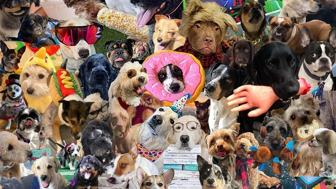National Dog Day at Wieden + Kennedy