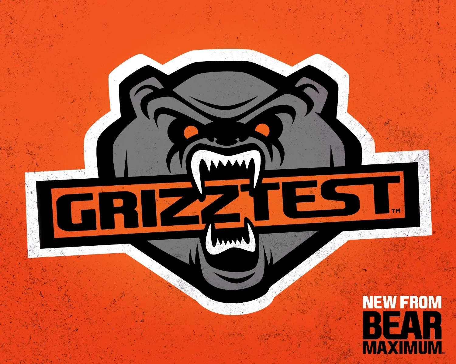 bearmax-grizztest.jpg