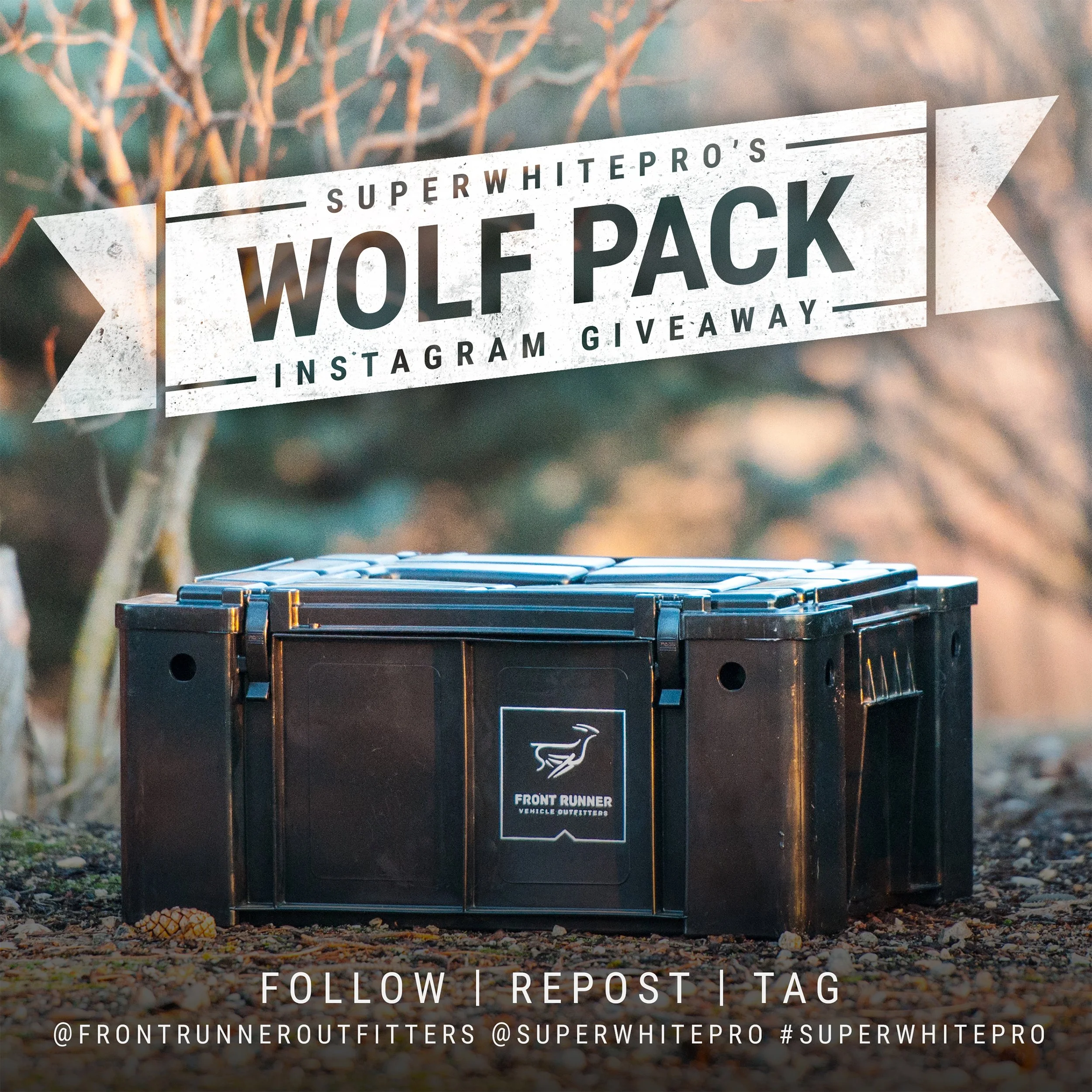 superwhitepro 11.jpg