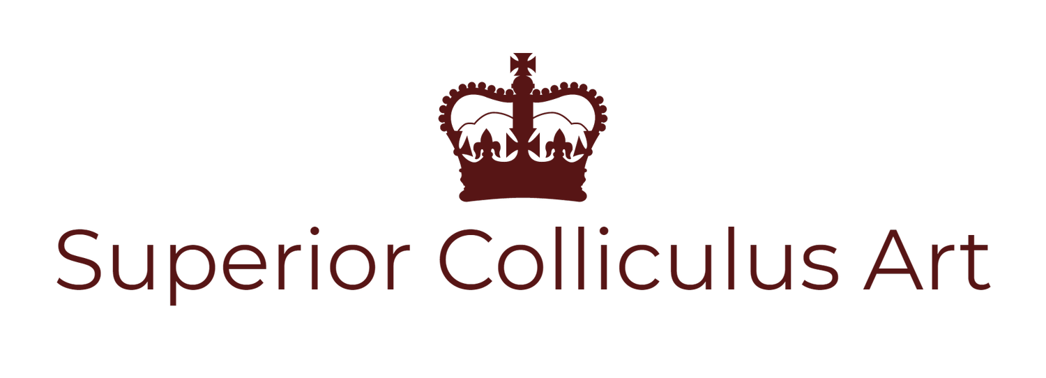 Superior Colliculus Art