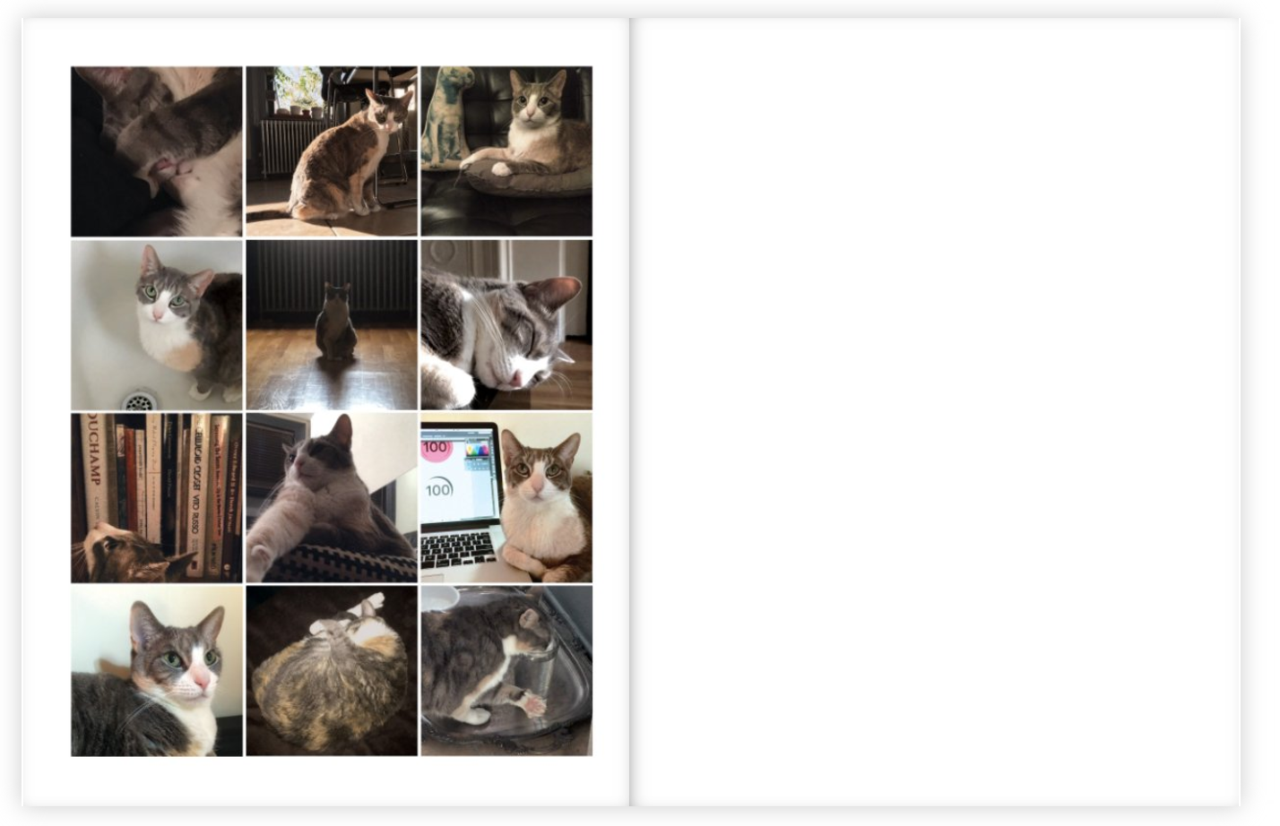 Screen Shot 2016-12-12 at 1.30.55 PM.png