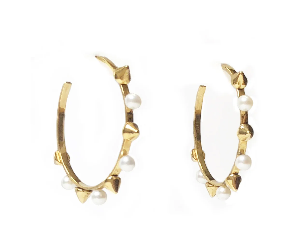Spiculum Hoop Earrings