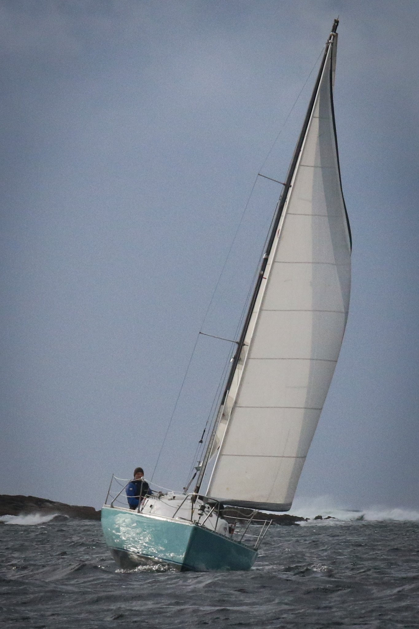 IMG_1780.jpg