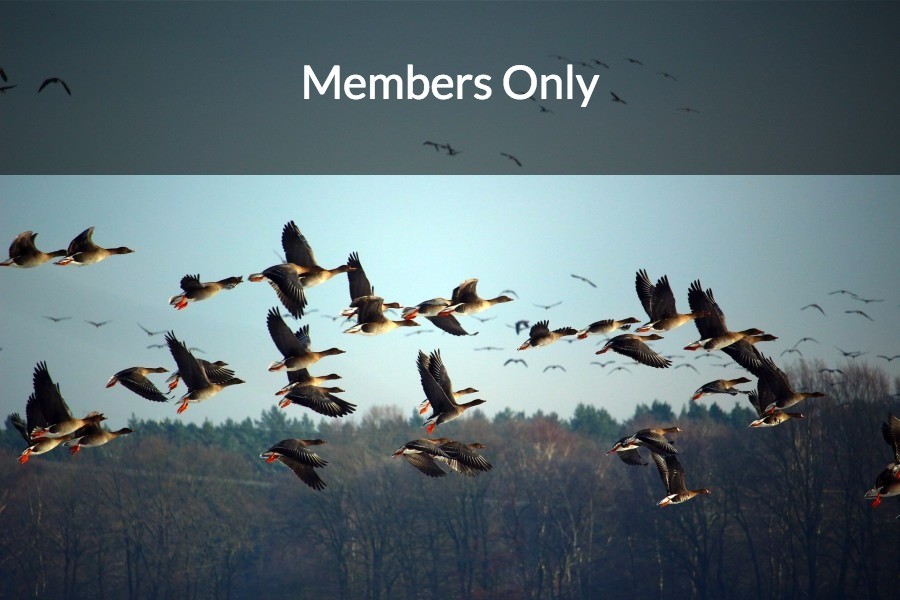 members-only-vpcc.jpg