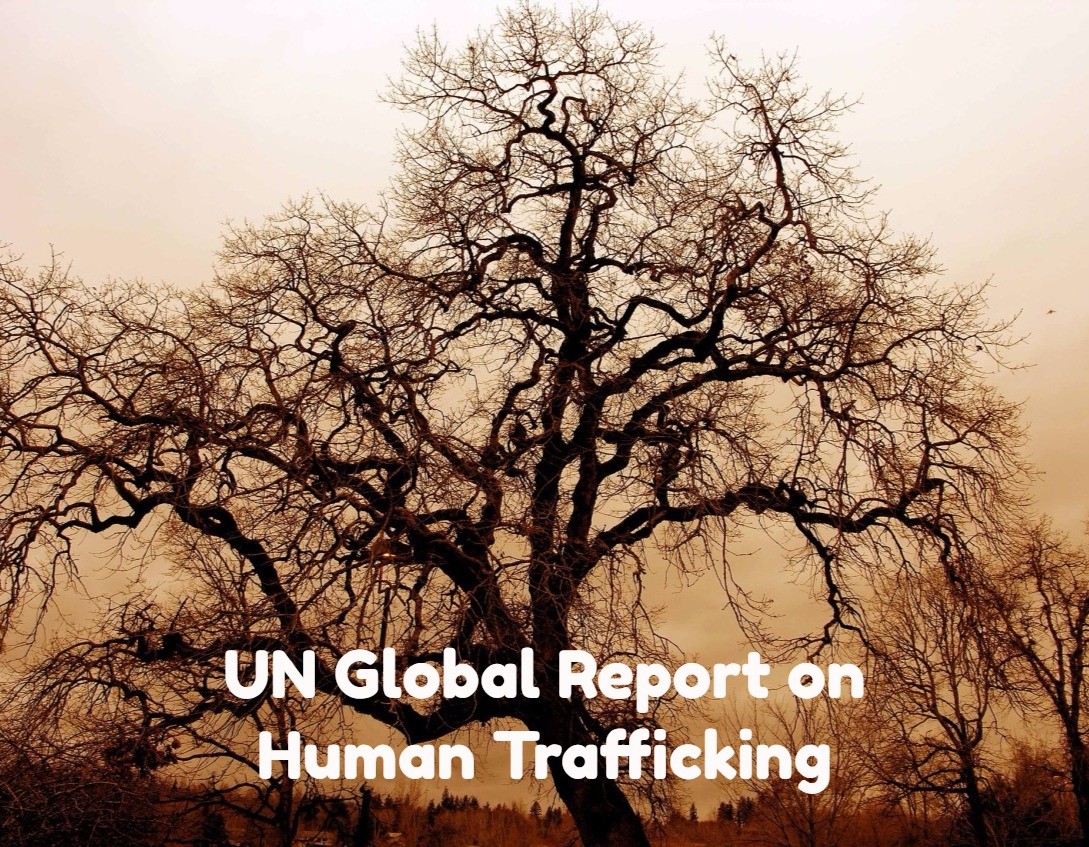UN Global Report