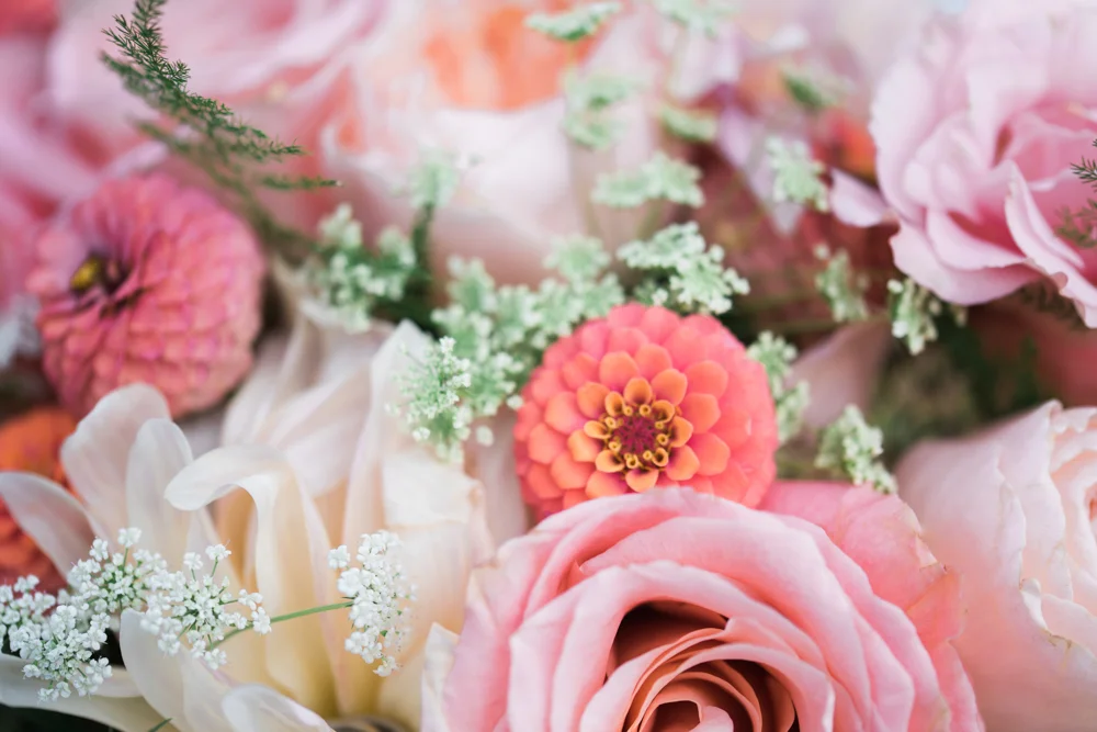 Buggy_Wedding-501.jpg