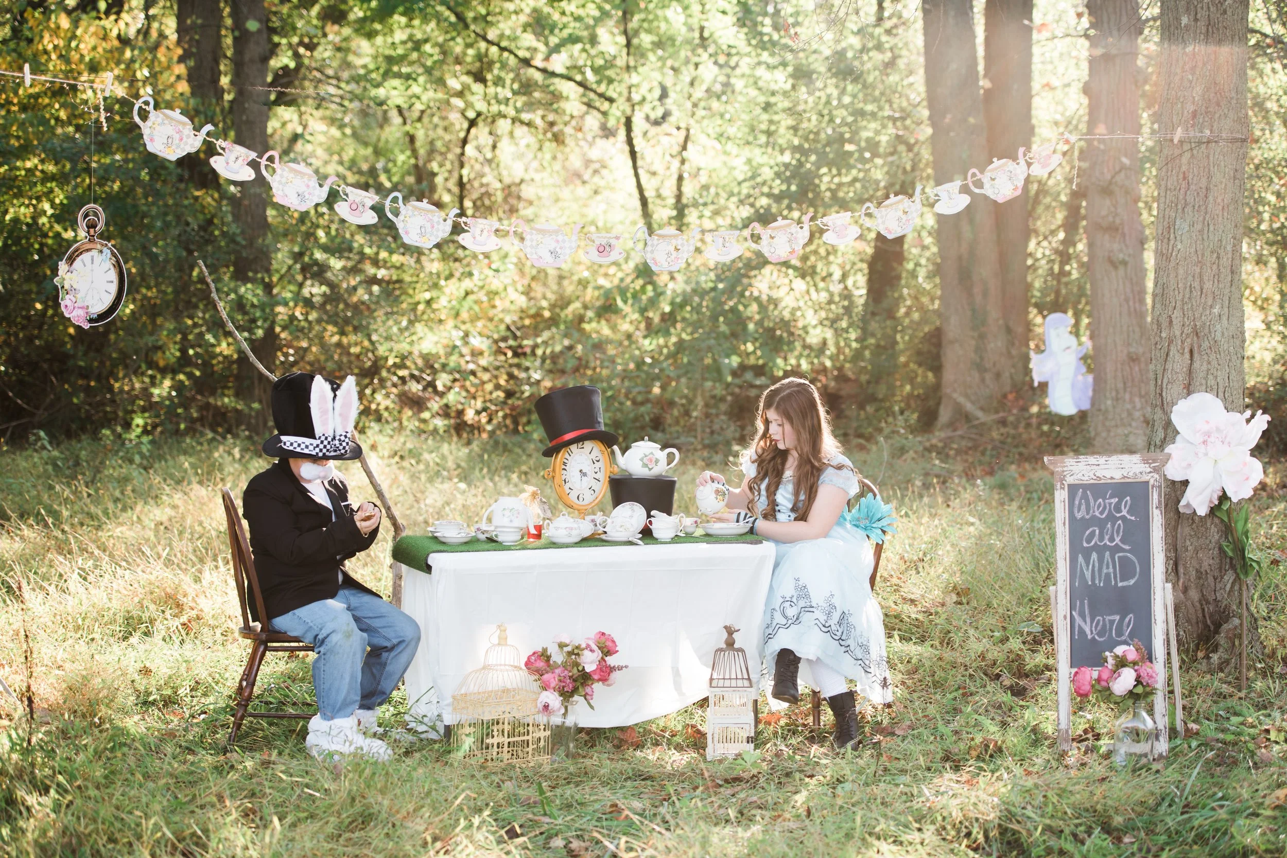 alice in wonderland 1.jpg