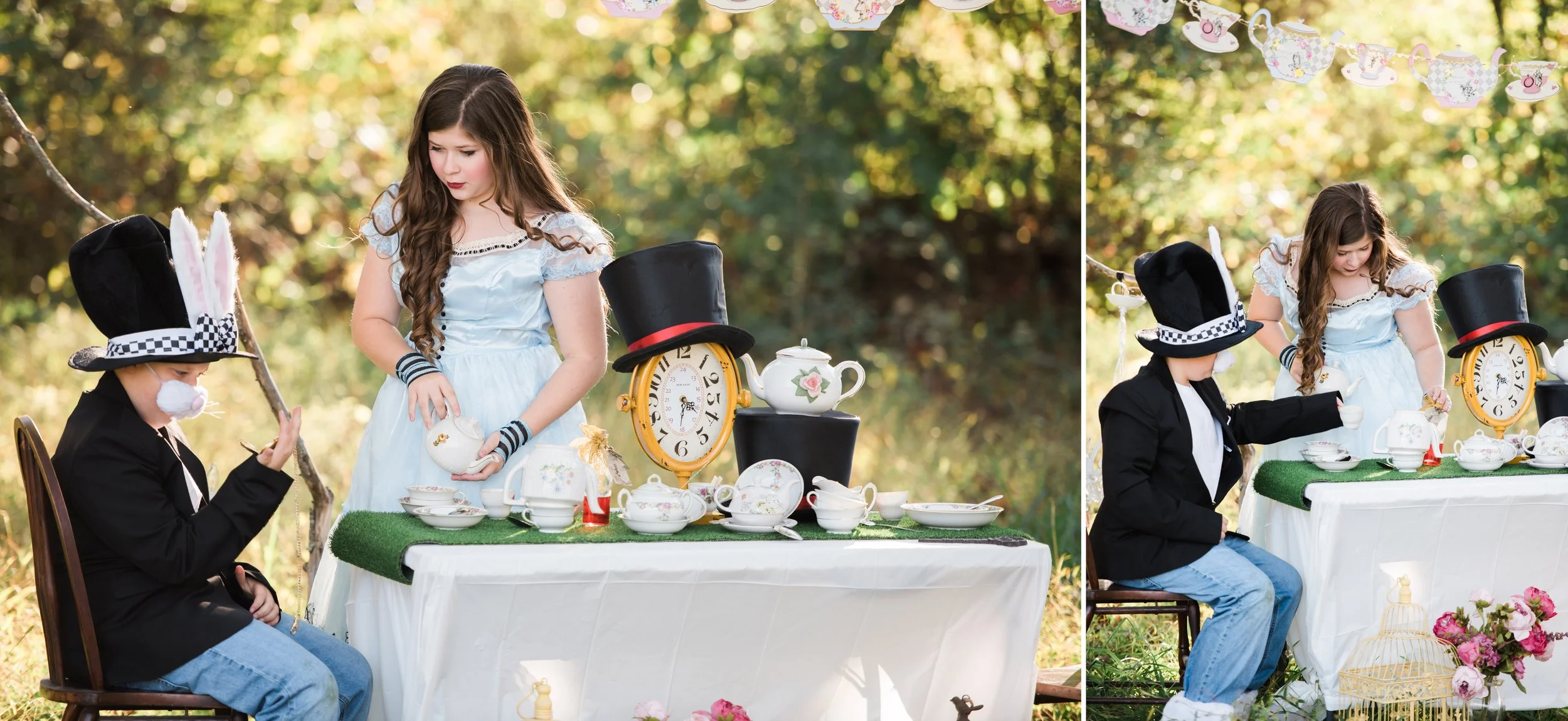 alice in wonderland 4.jpg