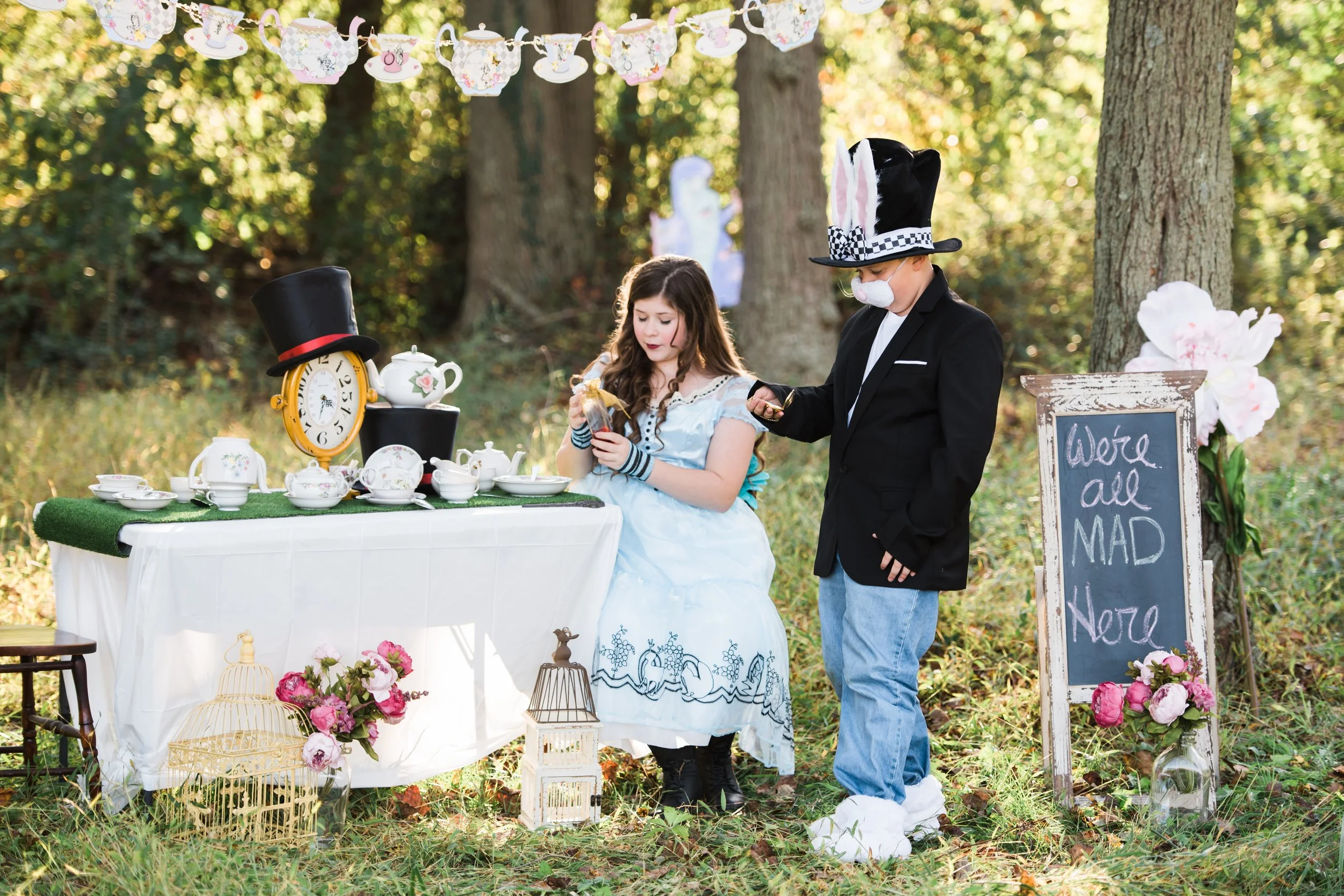 alice in wonderland 5.jpg