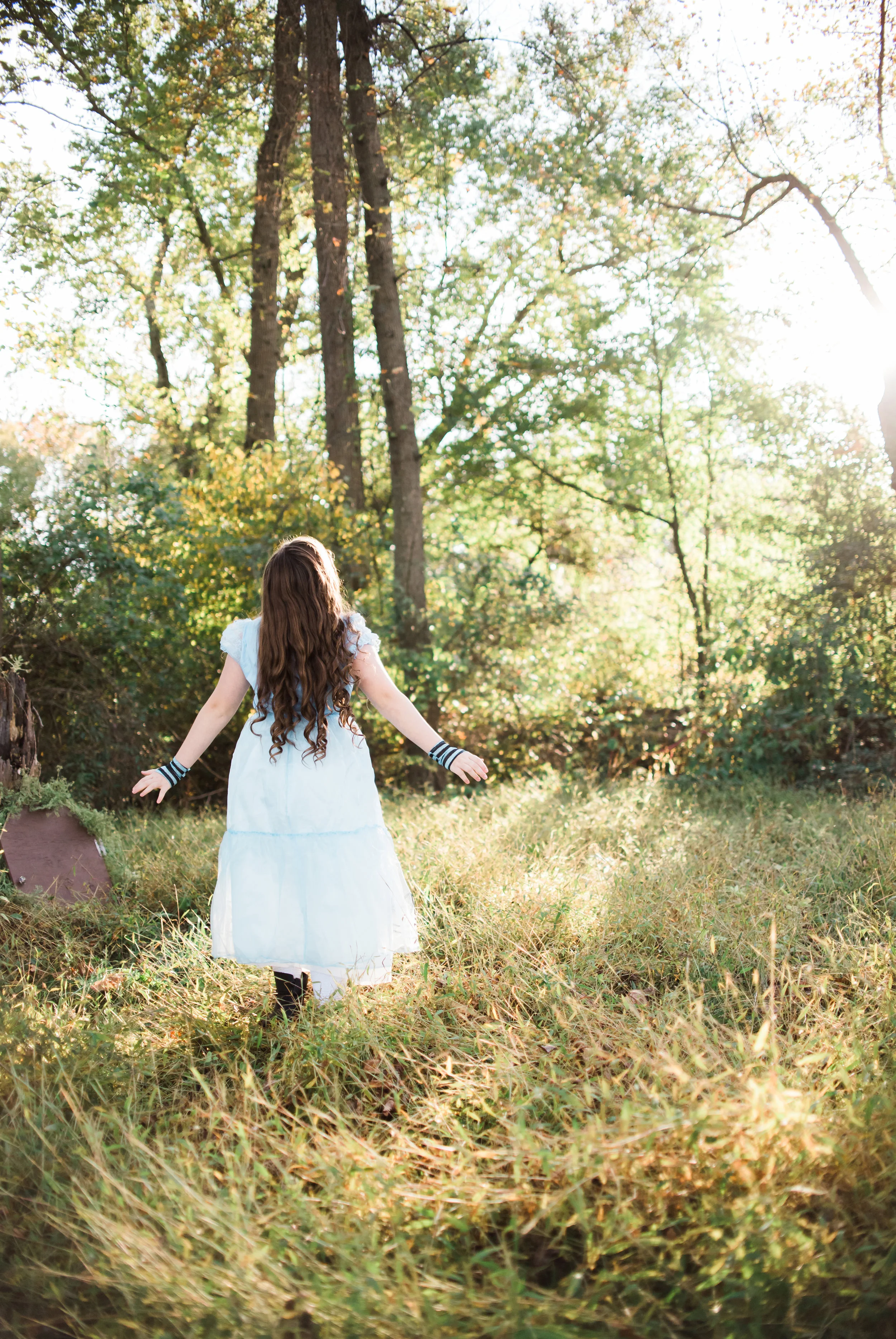 alice in wonderland 13.jpg