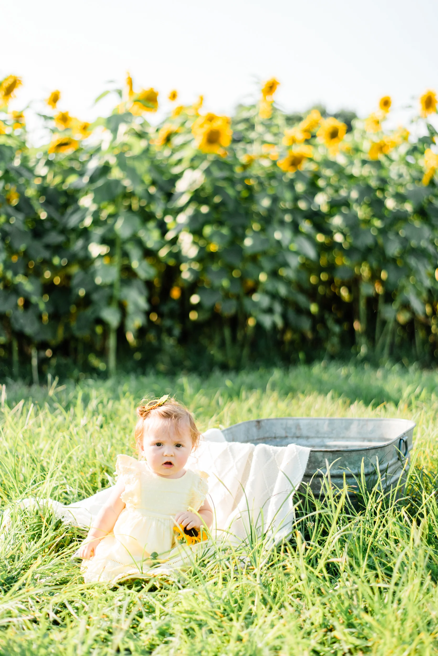 Sewack_sunflowers-30.jpg