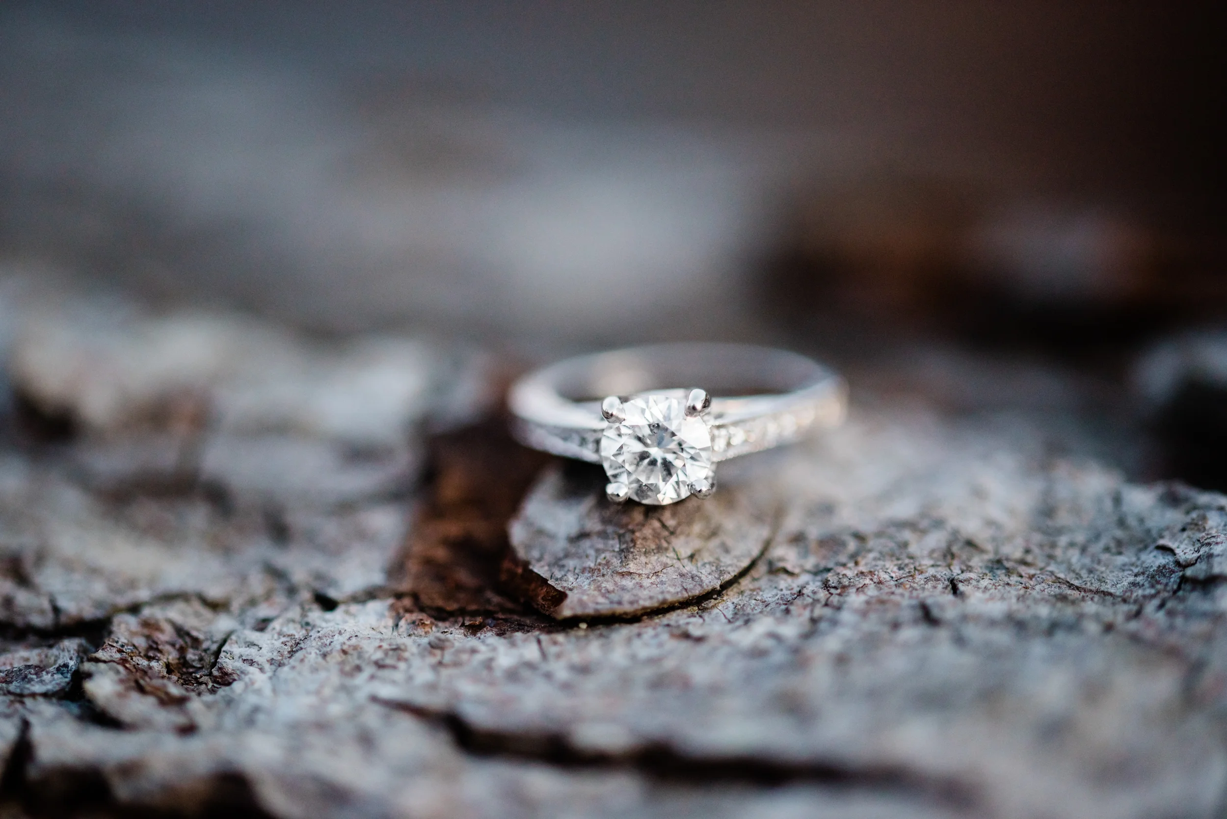 Laurel_engagement-204.jpg