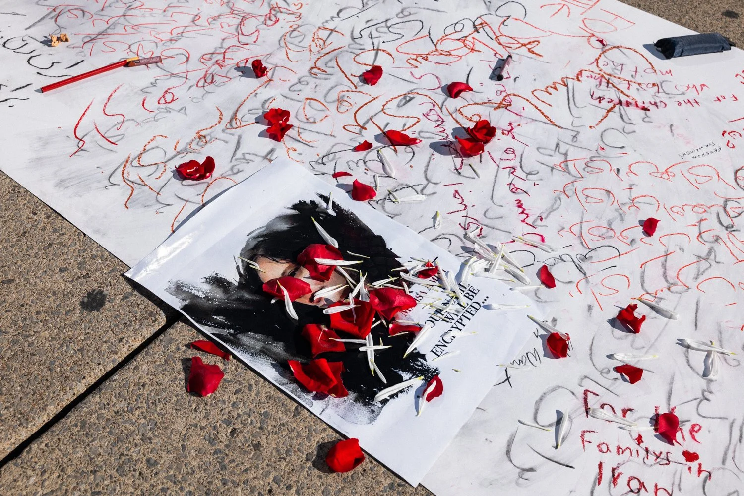  Roses covering a sign depicting the face of Jina (Mahsa) Amini, a 22 year old Kurdish woman killed by the morality police of Iran, during a solidarity demonstration in Toronto with the women protesting in the streets of Iran and Kurdistan, 2022. 