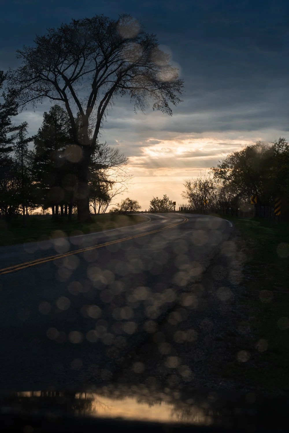  Niagara, Canada, 2021. 