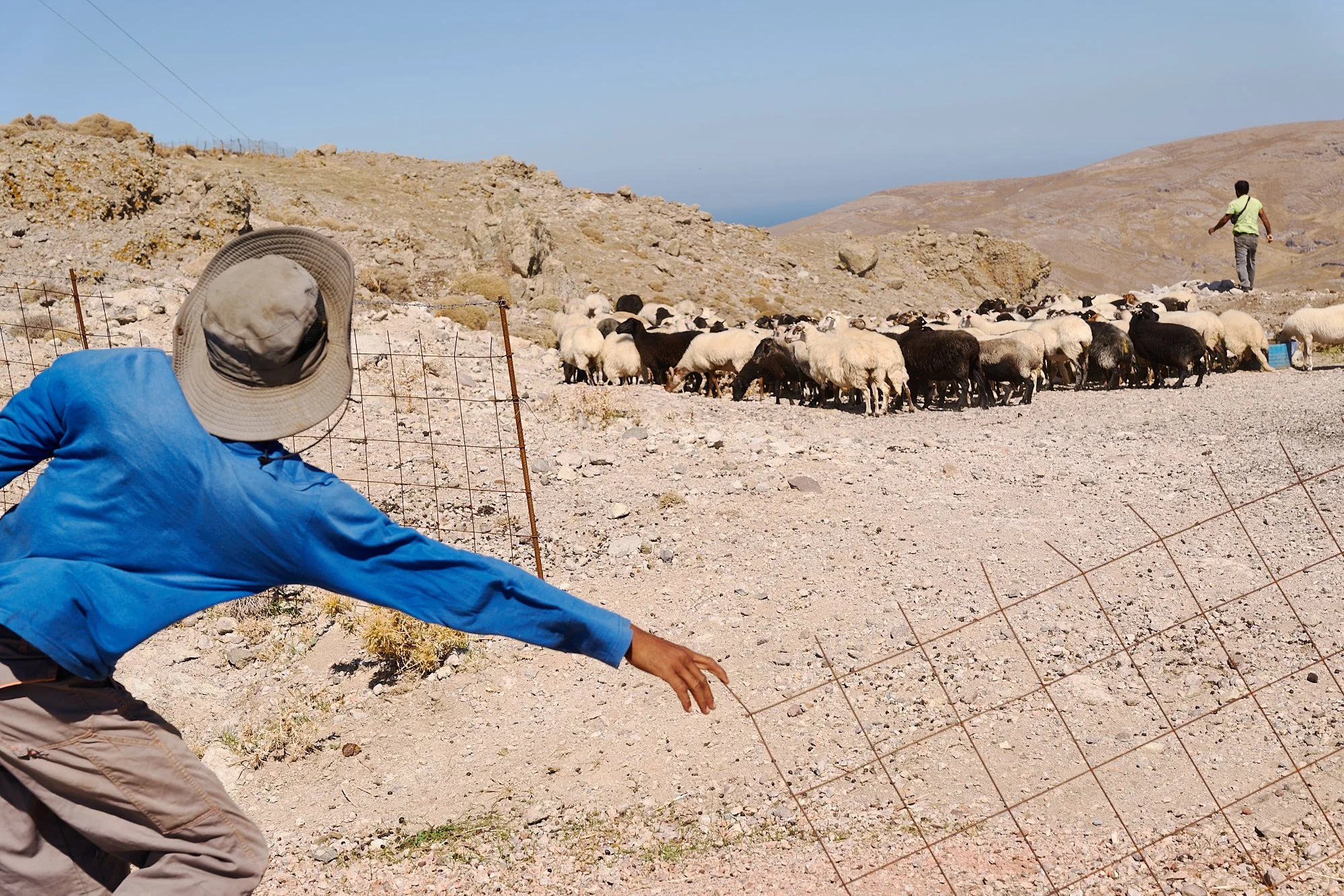  Lesvos, Greece 2024. 