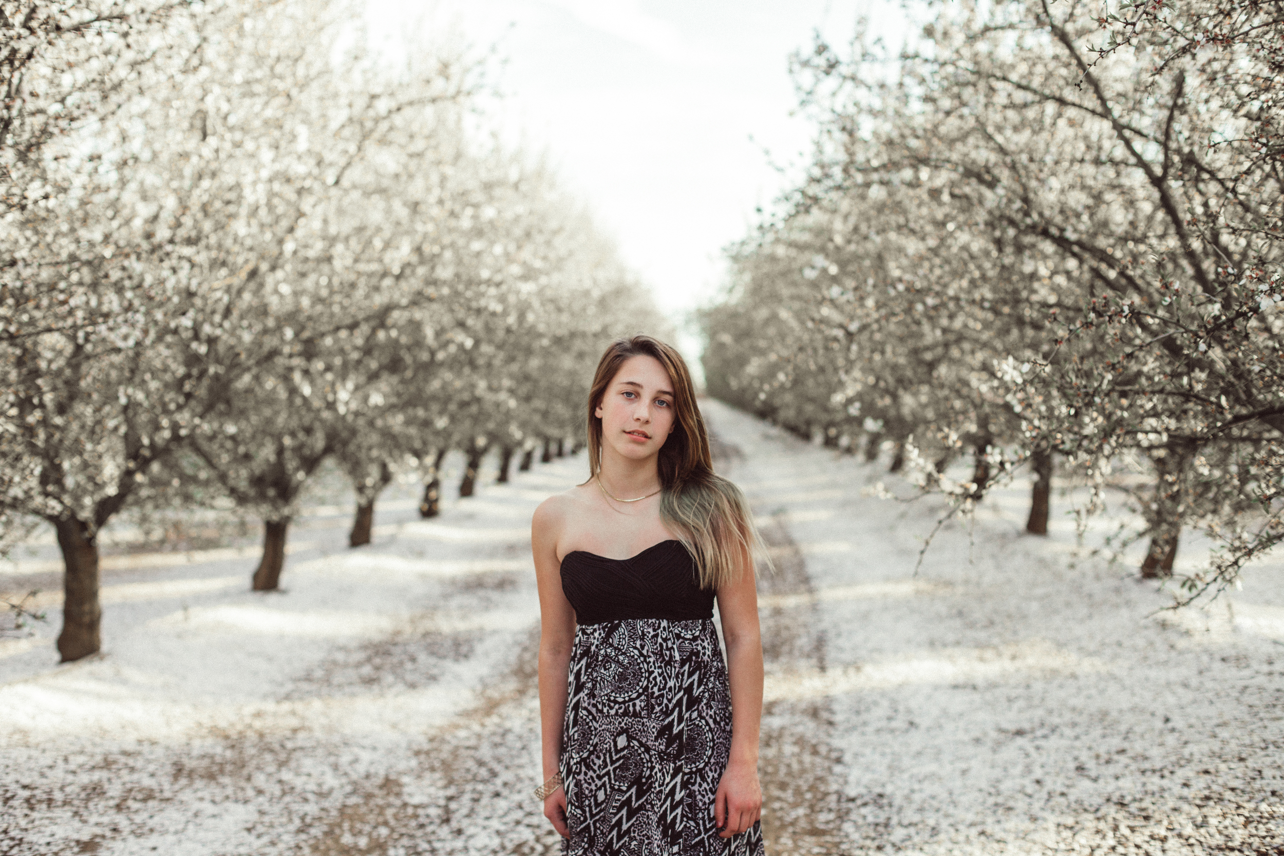 carole orchard   (5).jpg