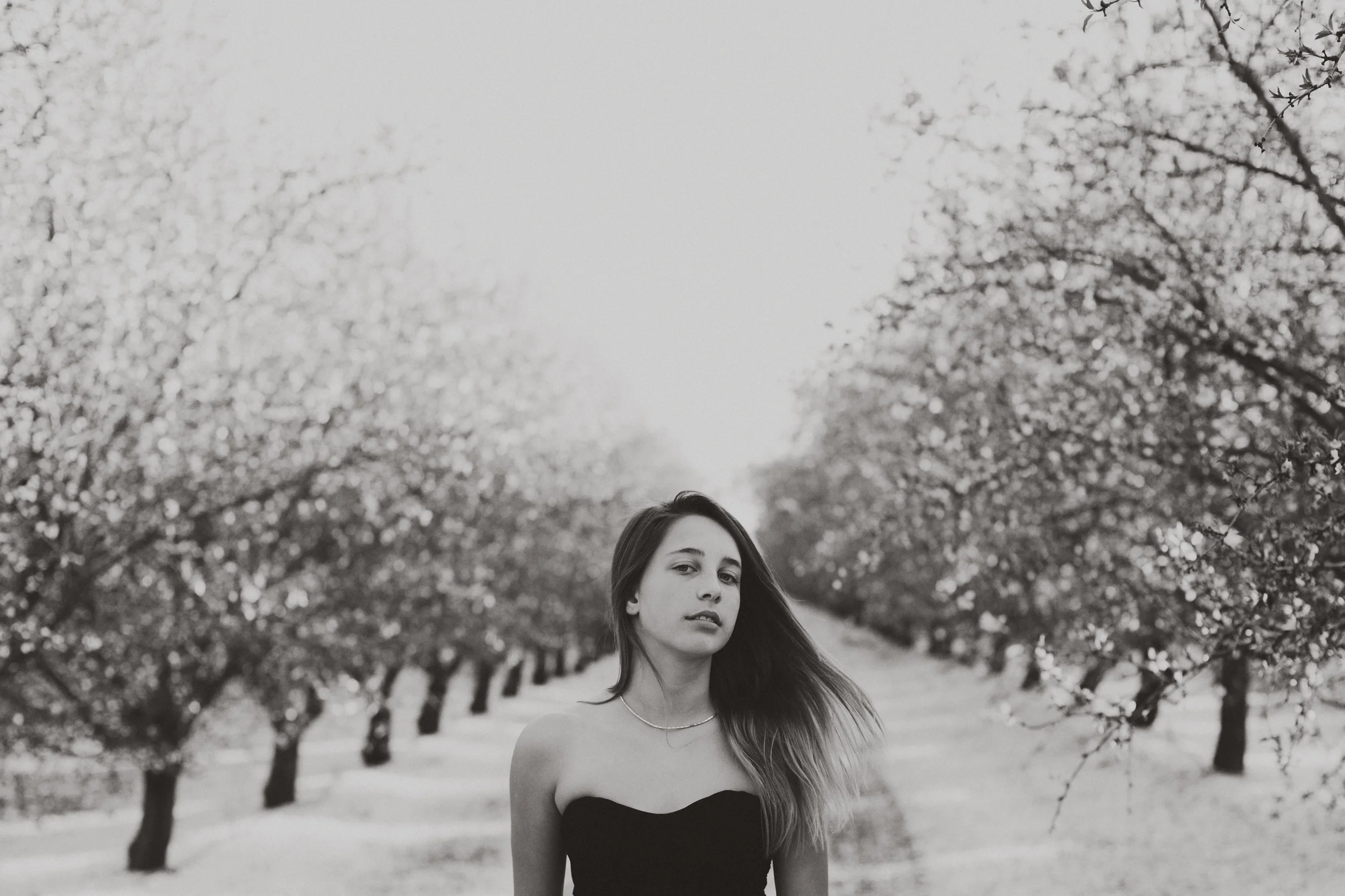carole orchard (18).jpg