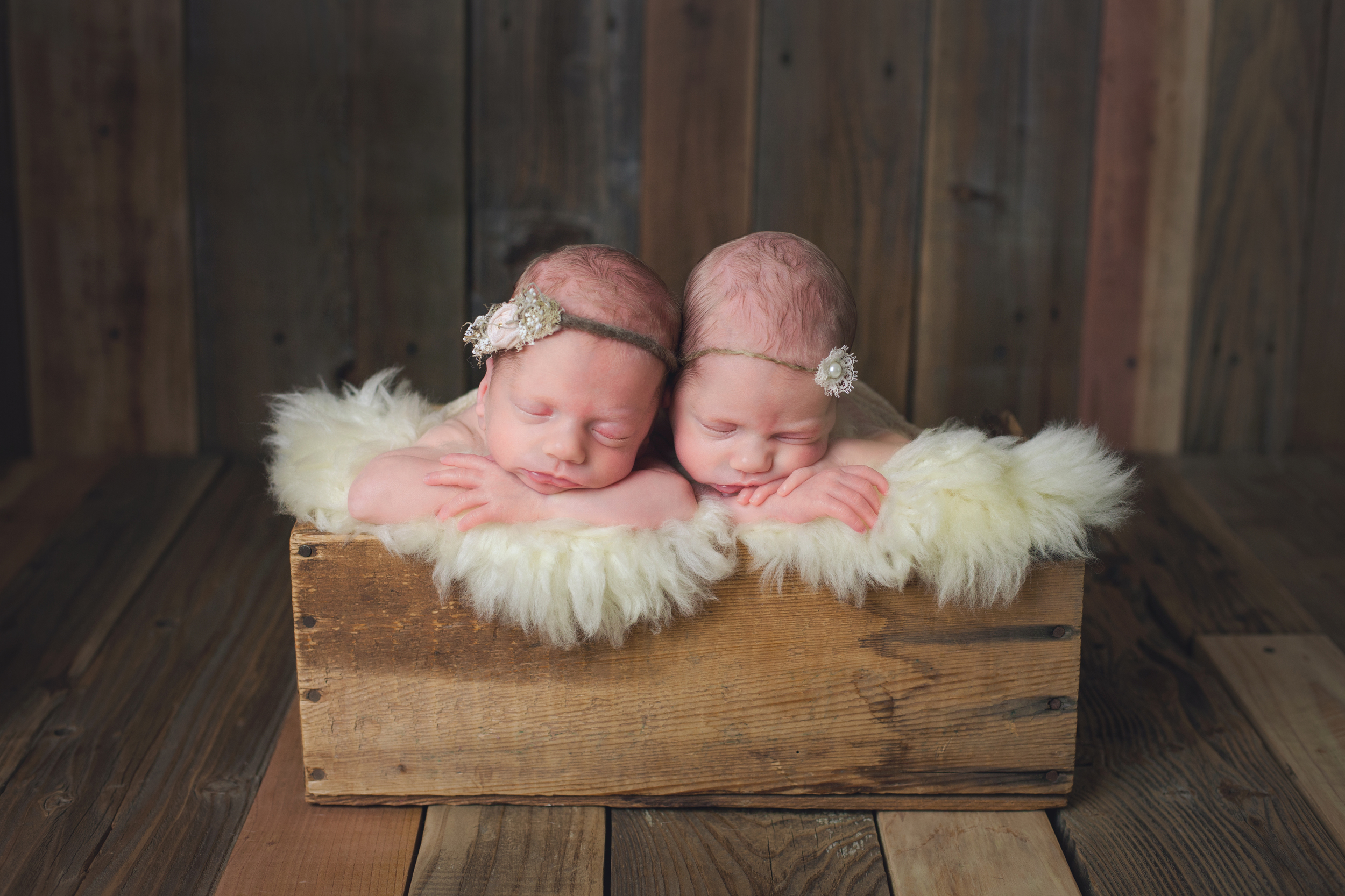 johnson newborns-1-3.jpg