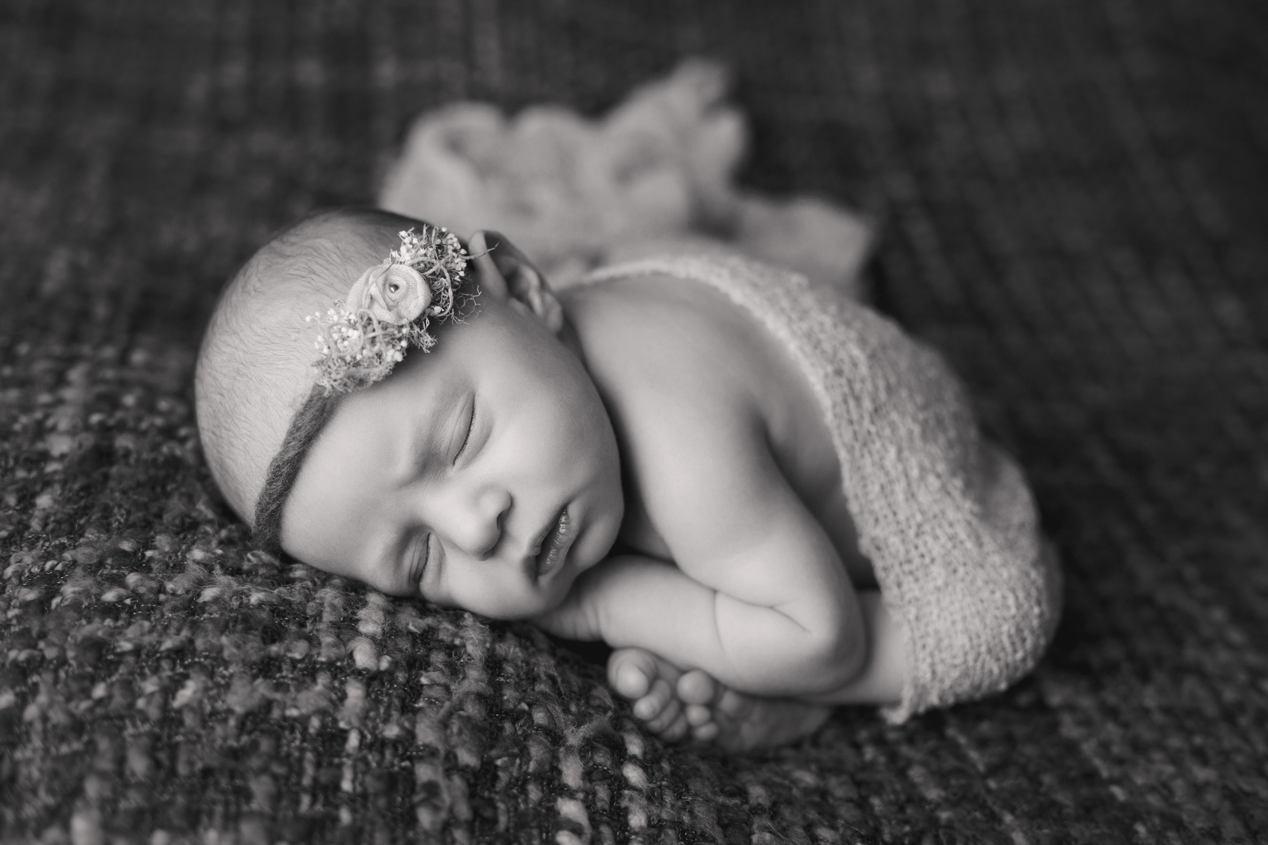 winter newborn -7bw.jpg