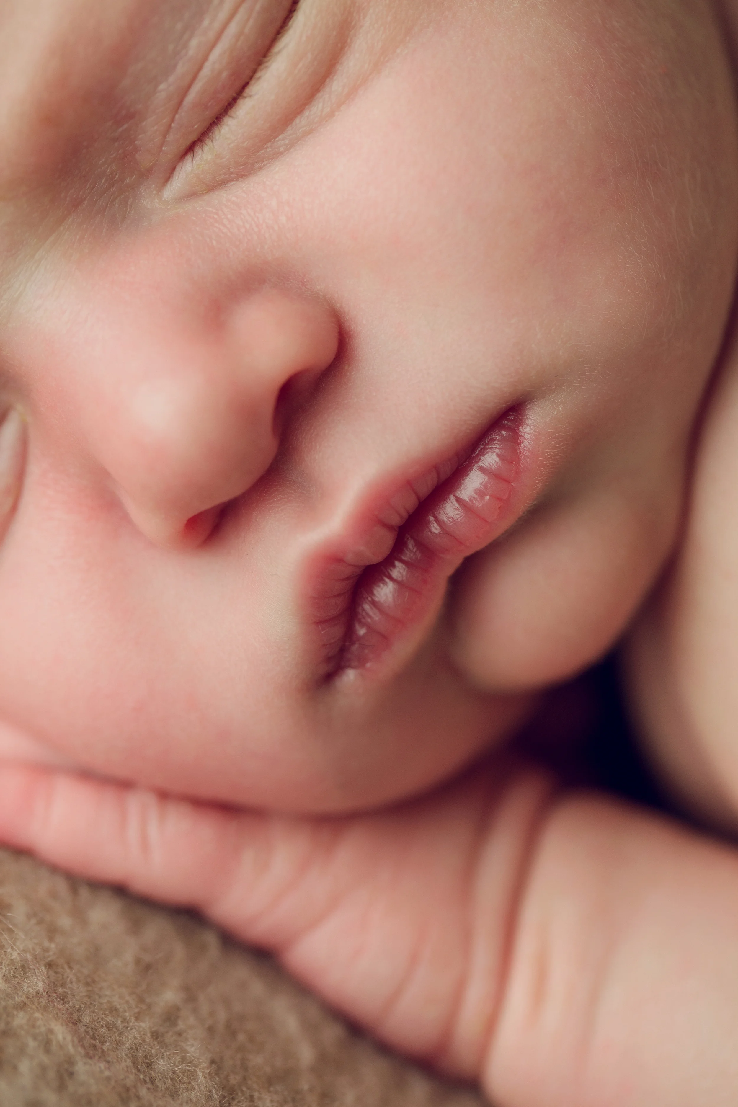 winter newborn -17.jpg