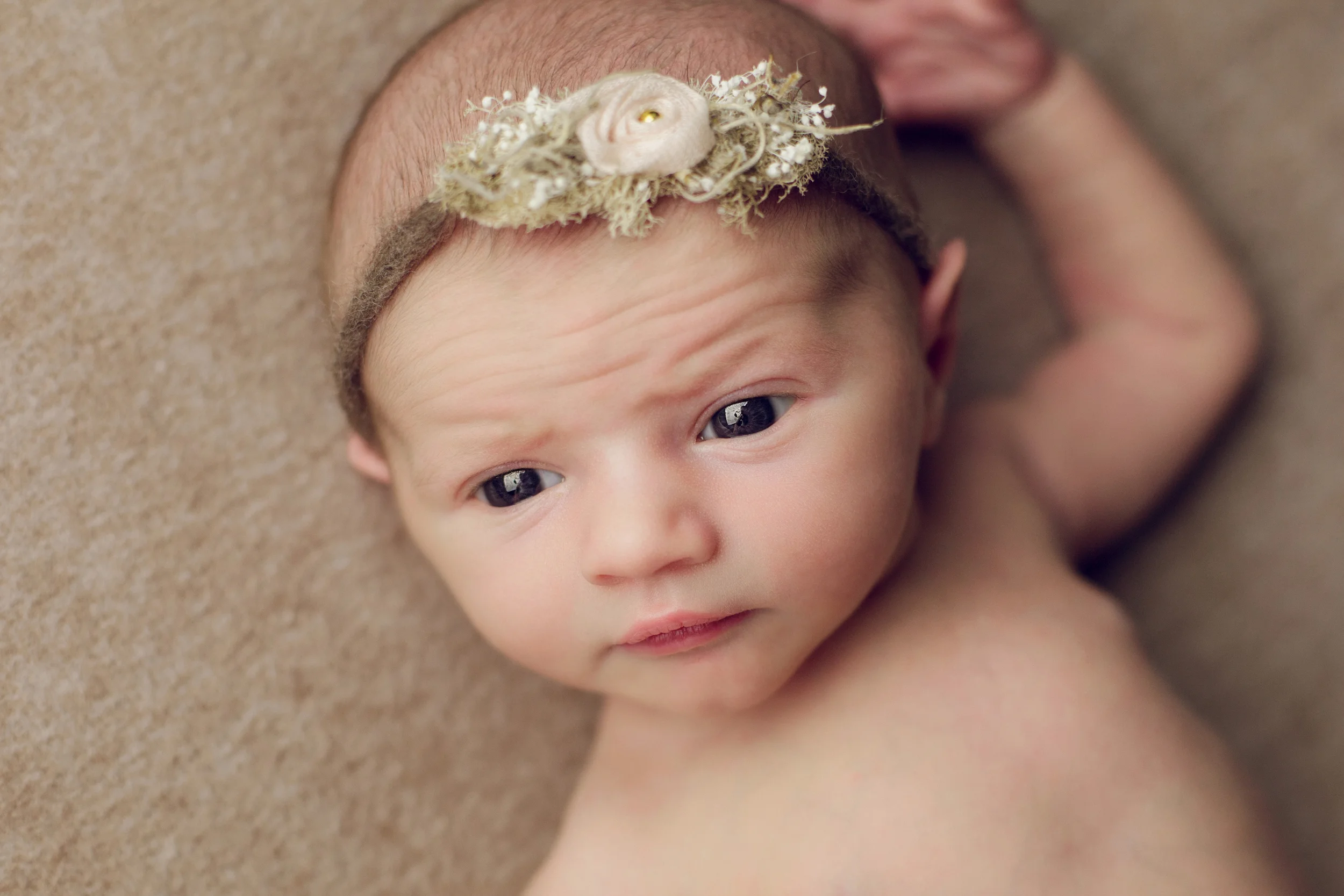 newborn clara (80).jpg