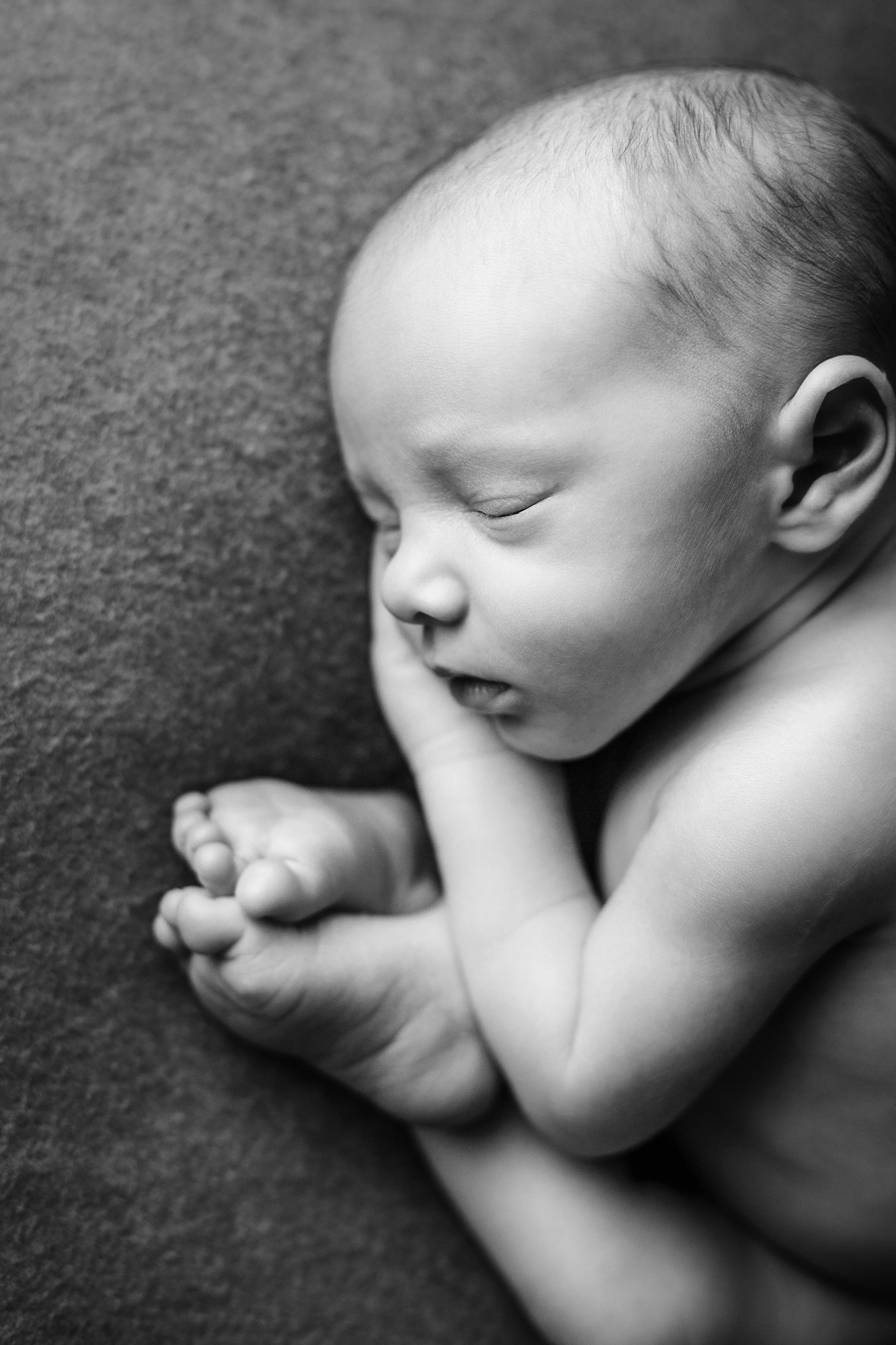 teddy newborn (12).jpg