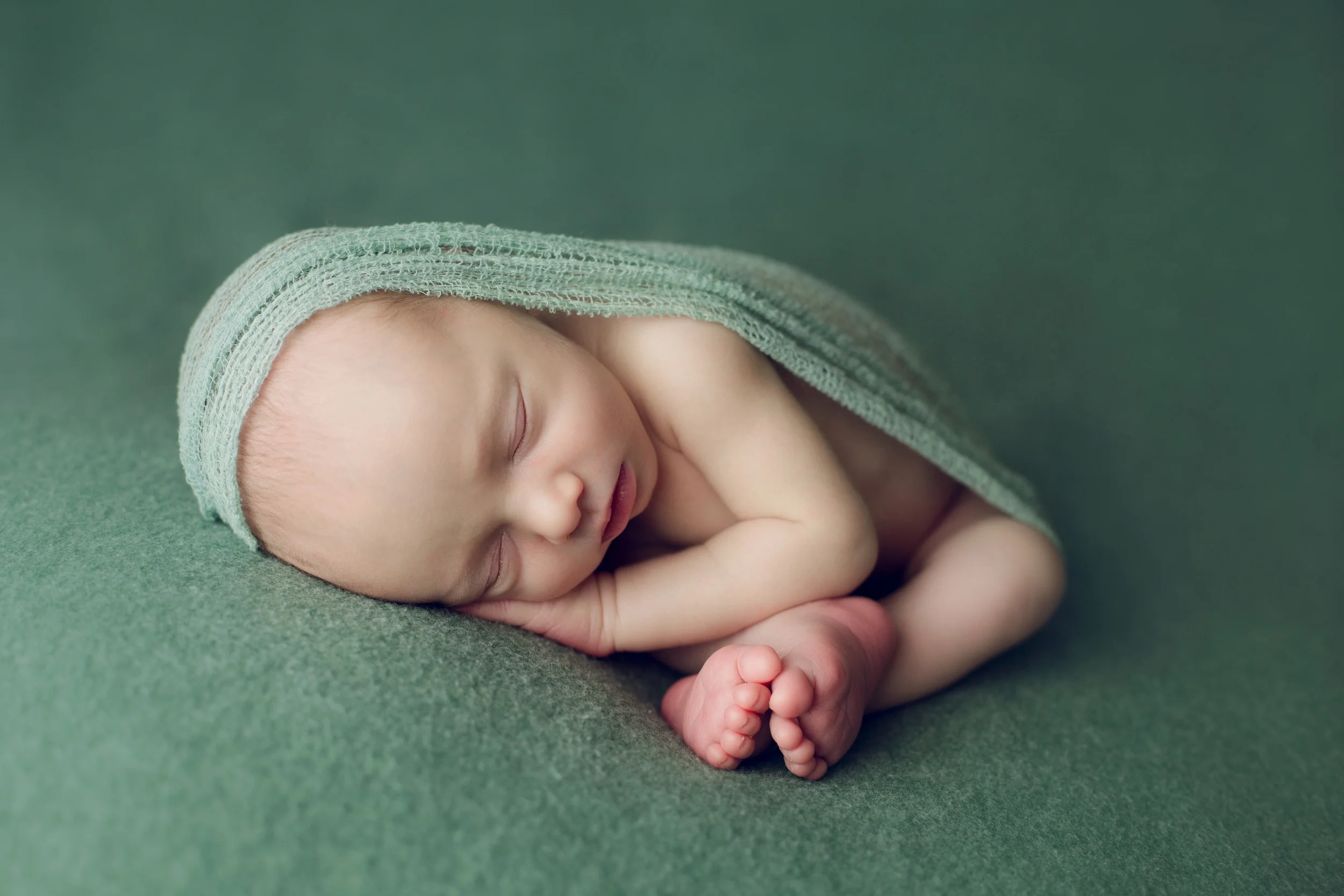 teddy newborn (15).jpg