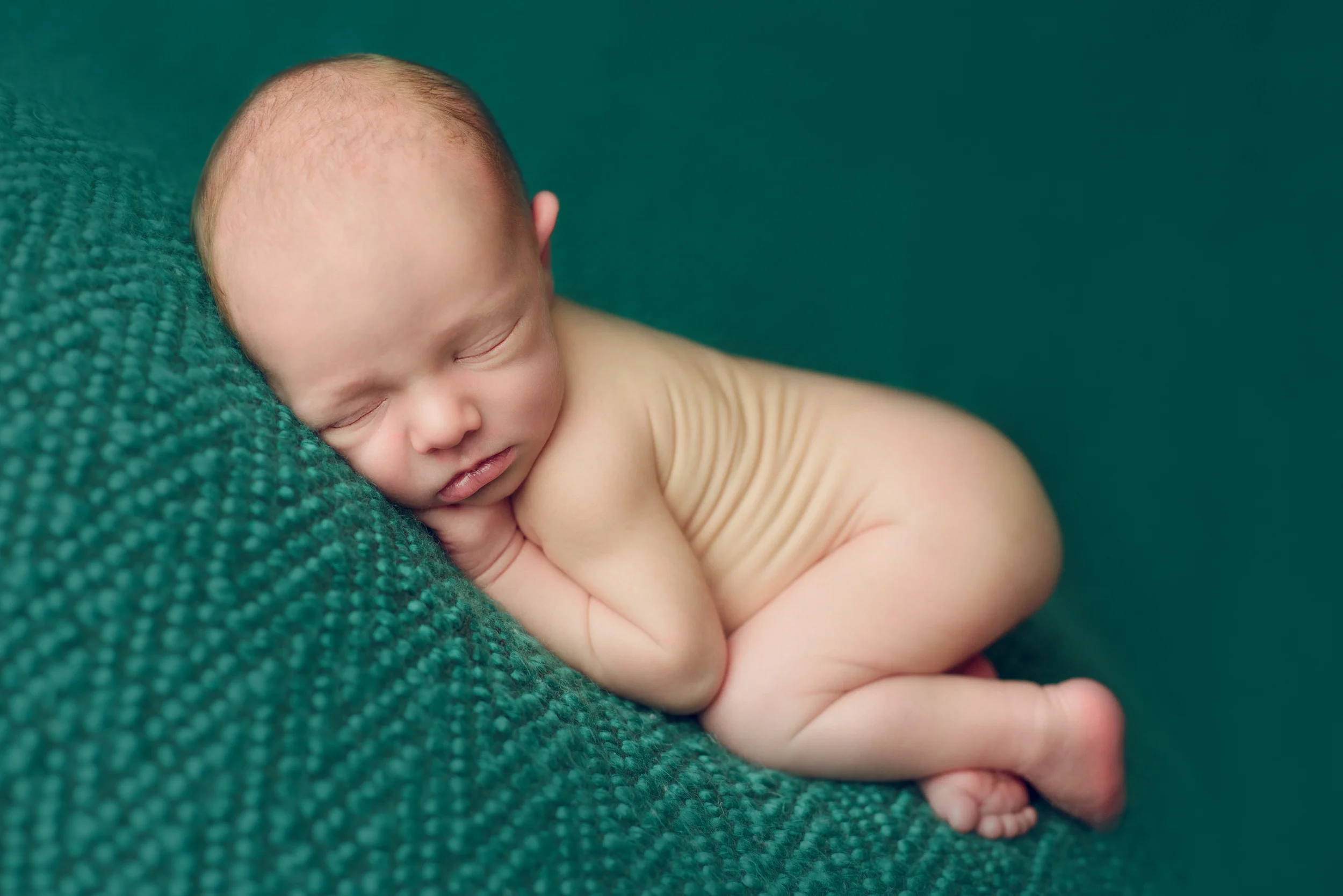 teddy newborn (21).jpg
