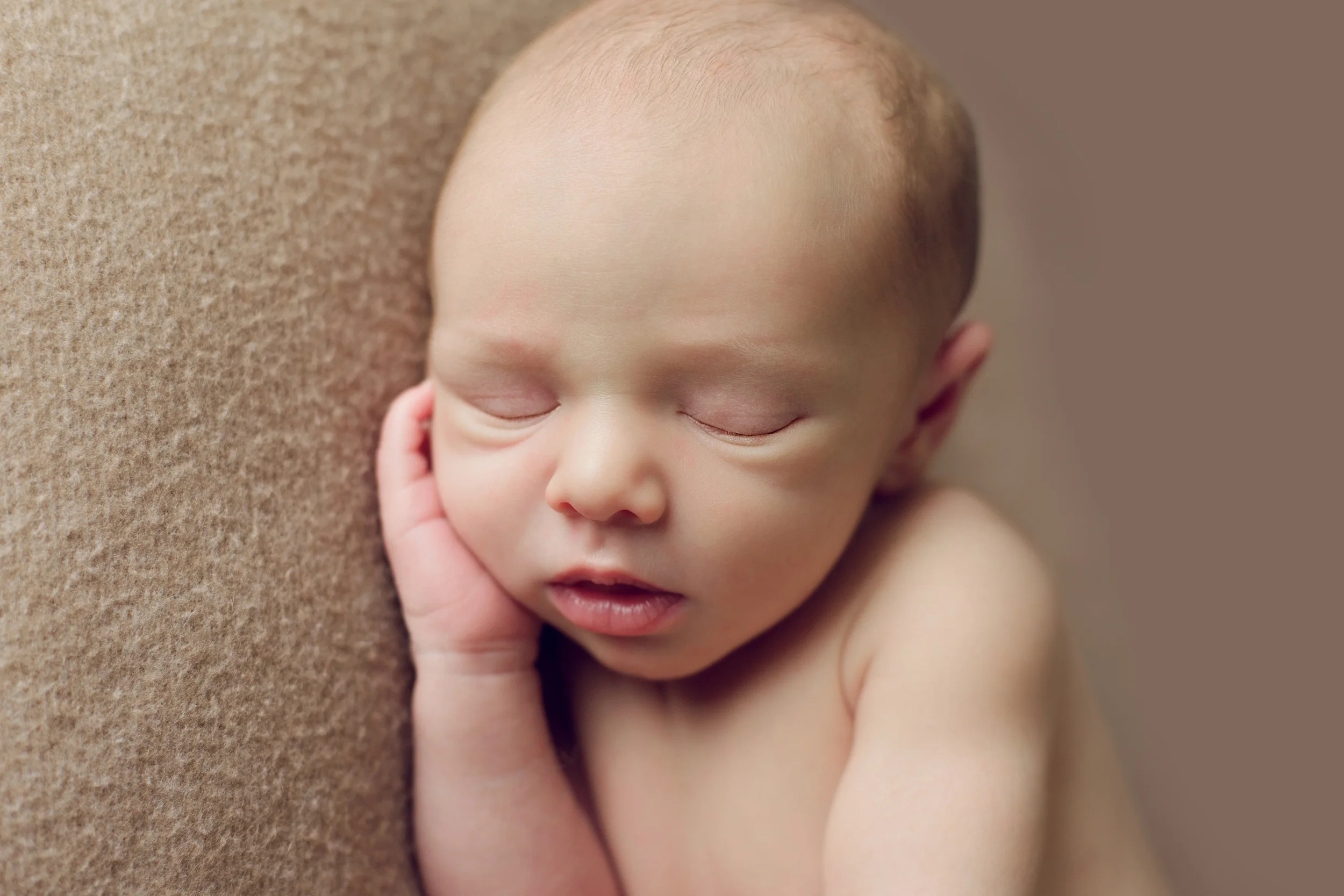 teddy newborn (33).jpg