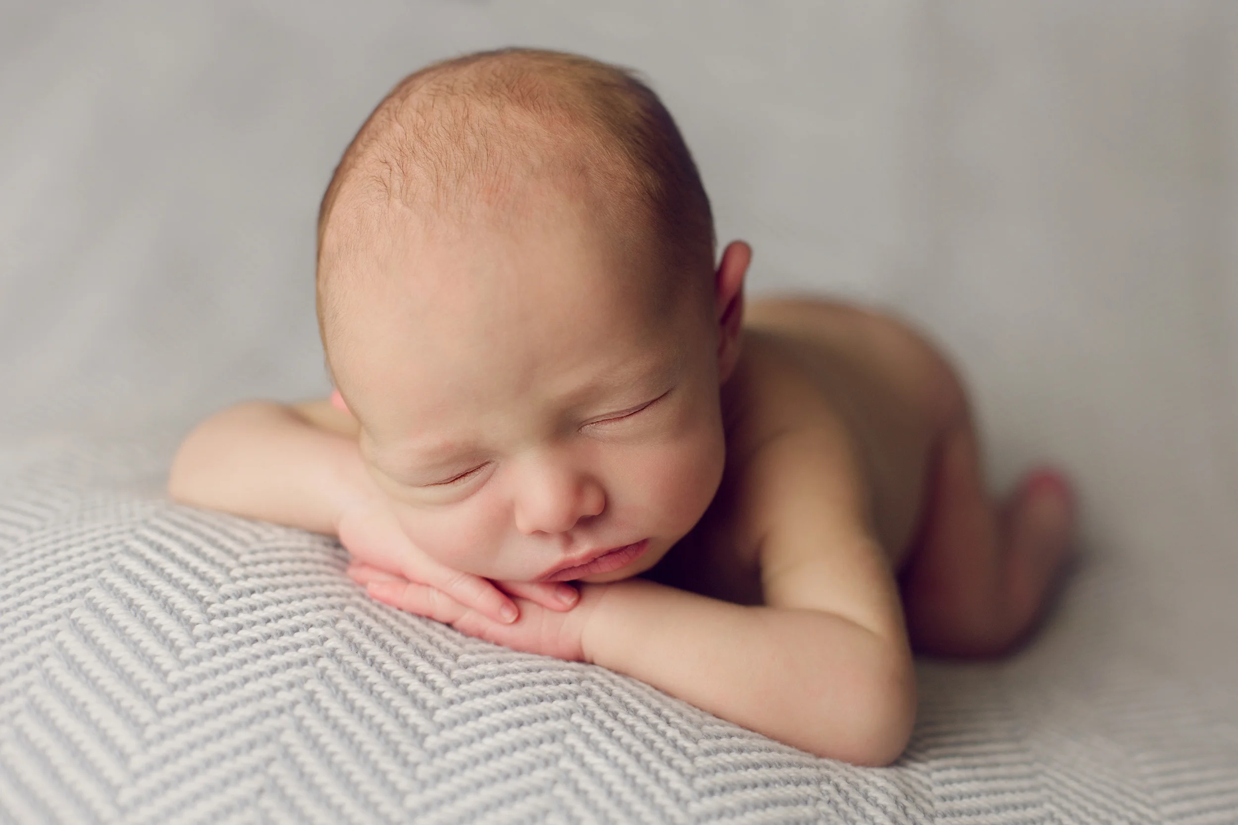 teddy newborn (45).jpg