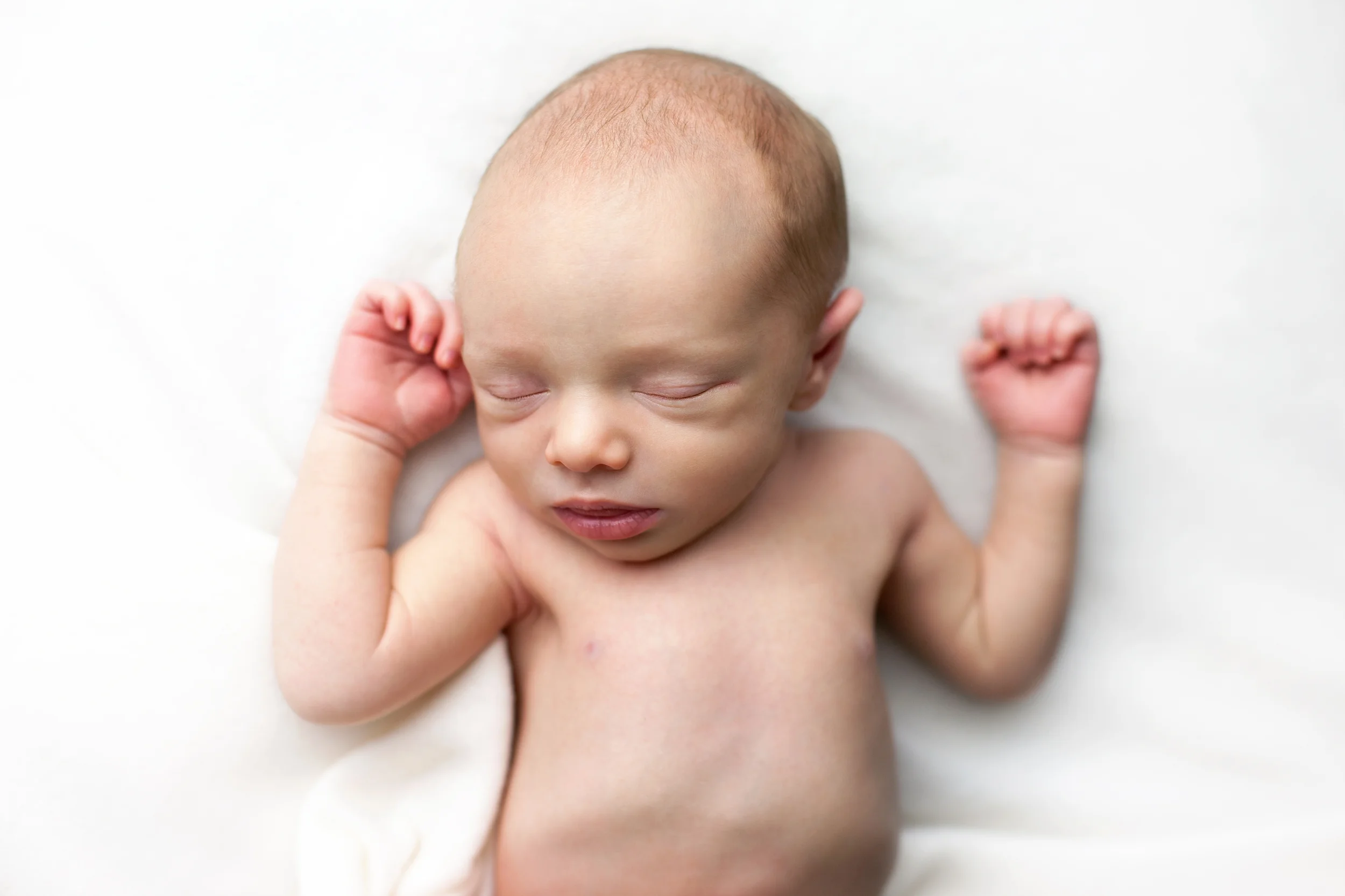 teddy newborn (50).jpg