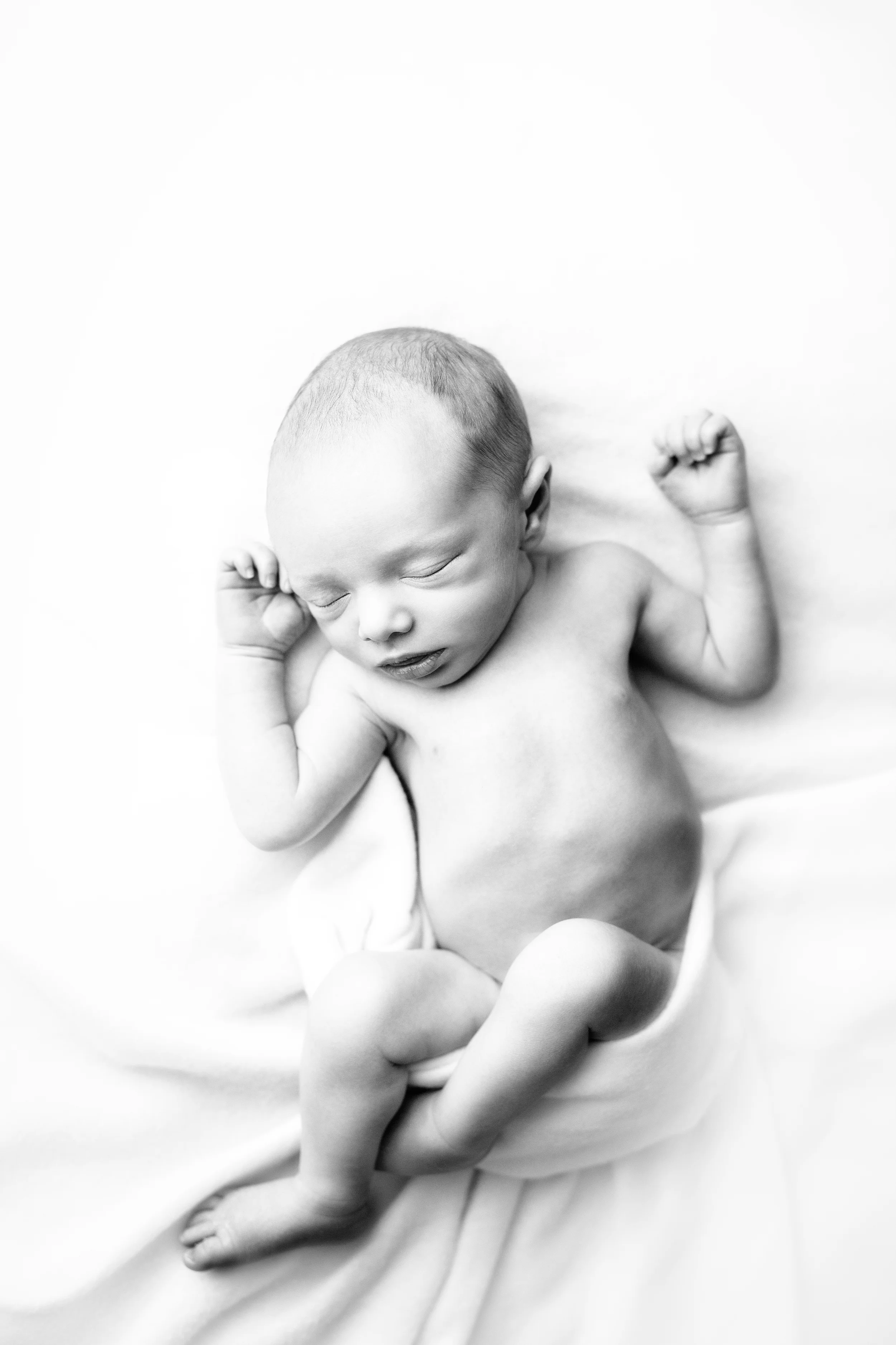 teddy newborn (52).jpg