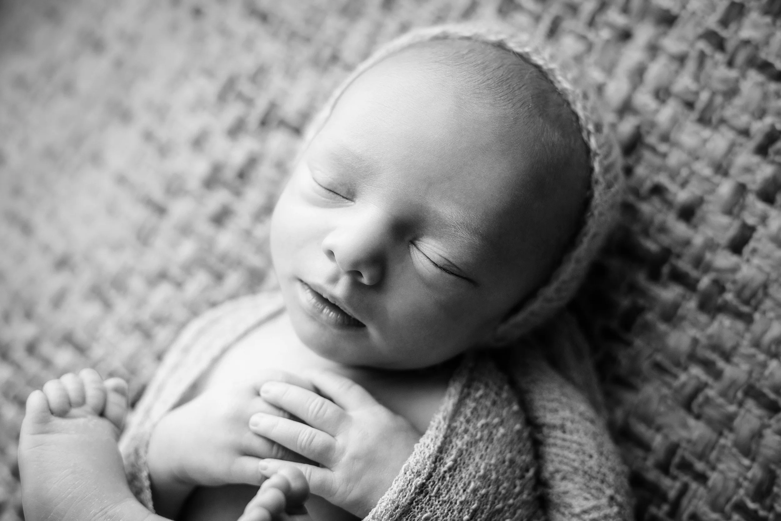 teddy newborn (58).jpg