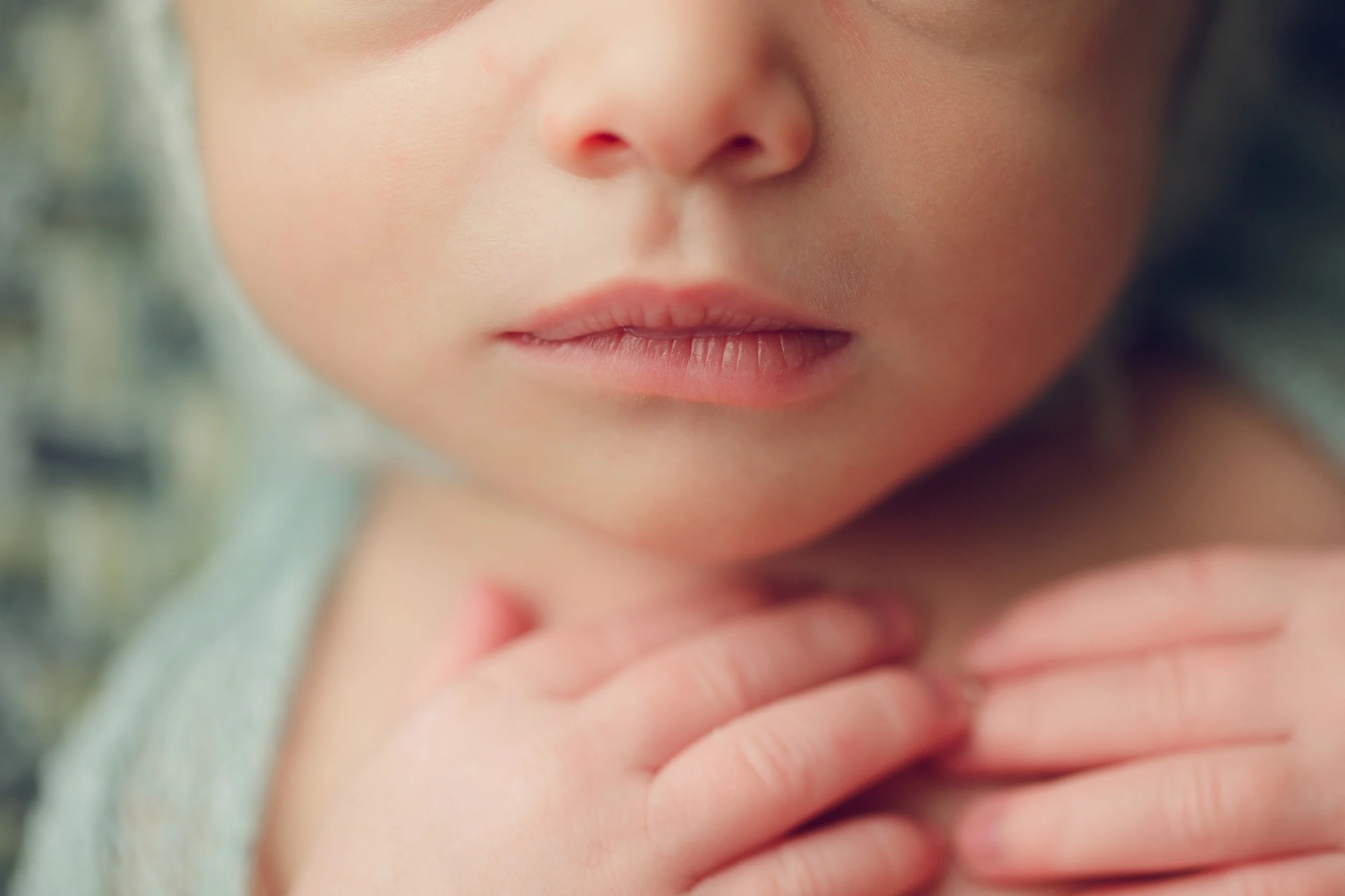 teddy newborn (60).jpg