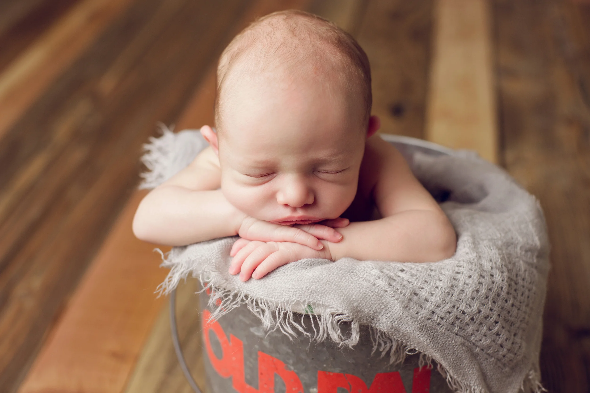 teddy newborn (69).jpg