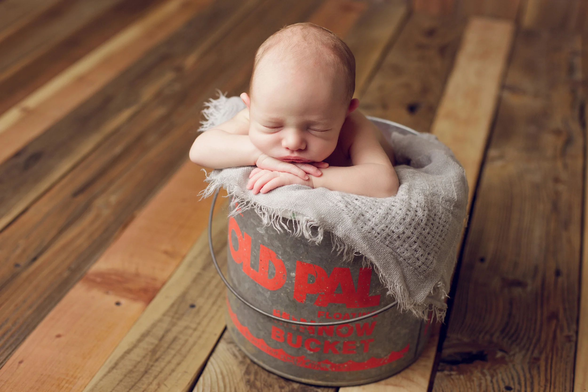 teddy newborn (70).jpg