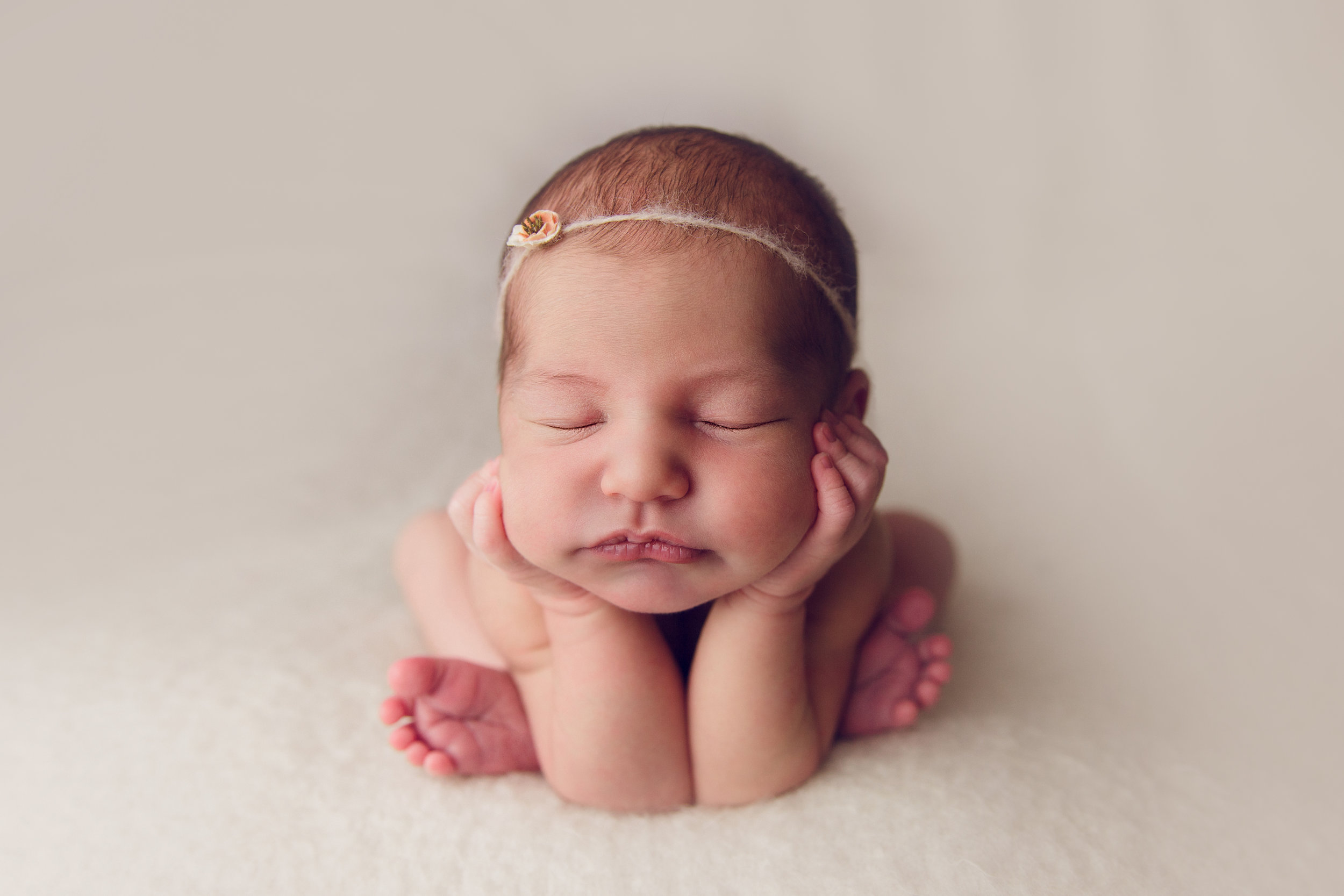 bellina newborn  (1).jpg