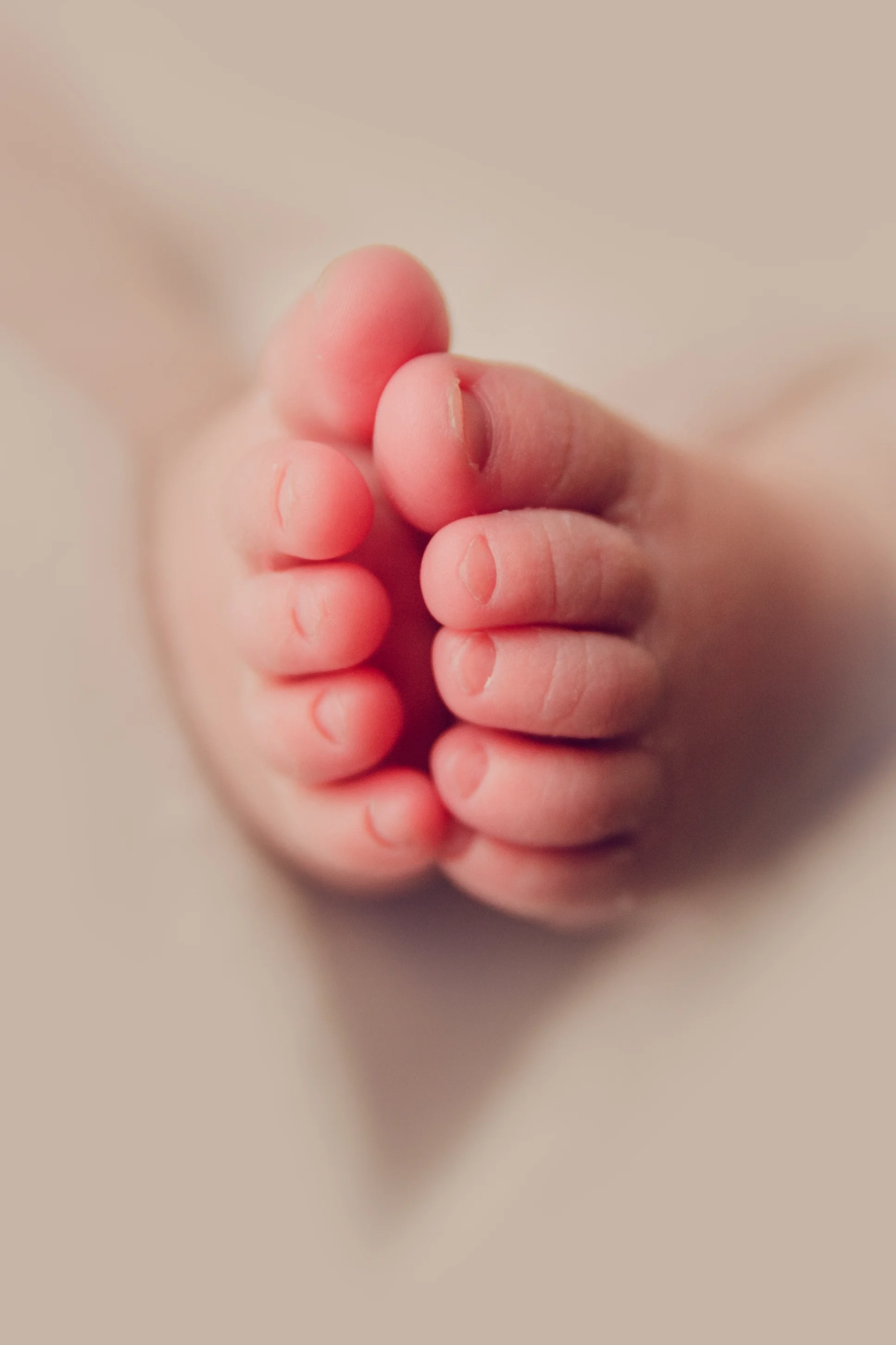 bellina newborn (45).jpg