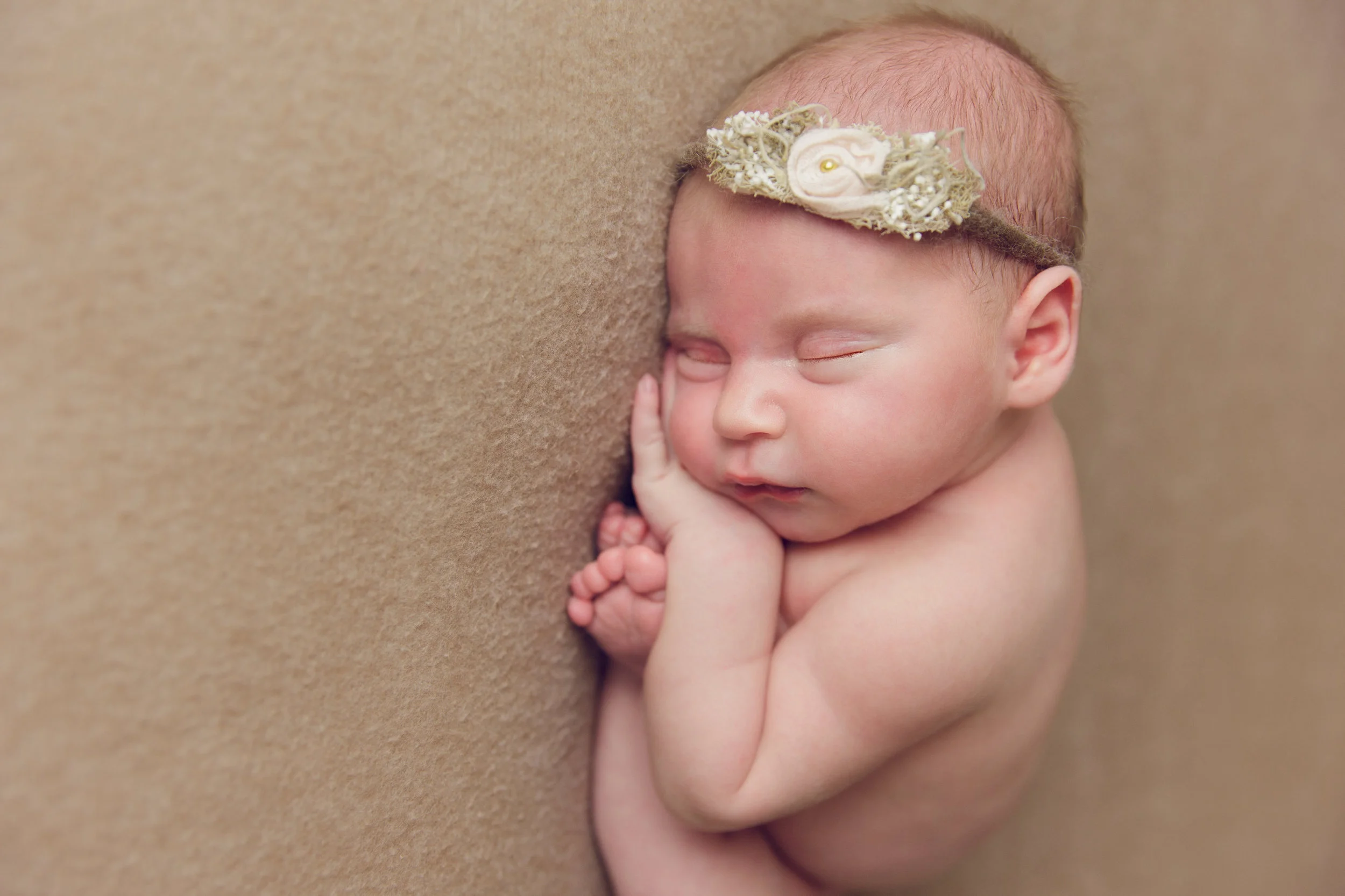 lily newborn -2.jpg