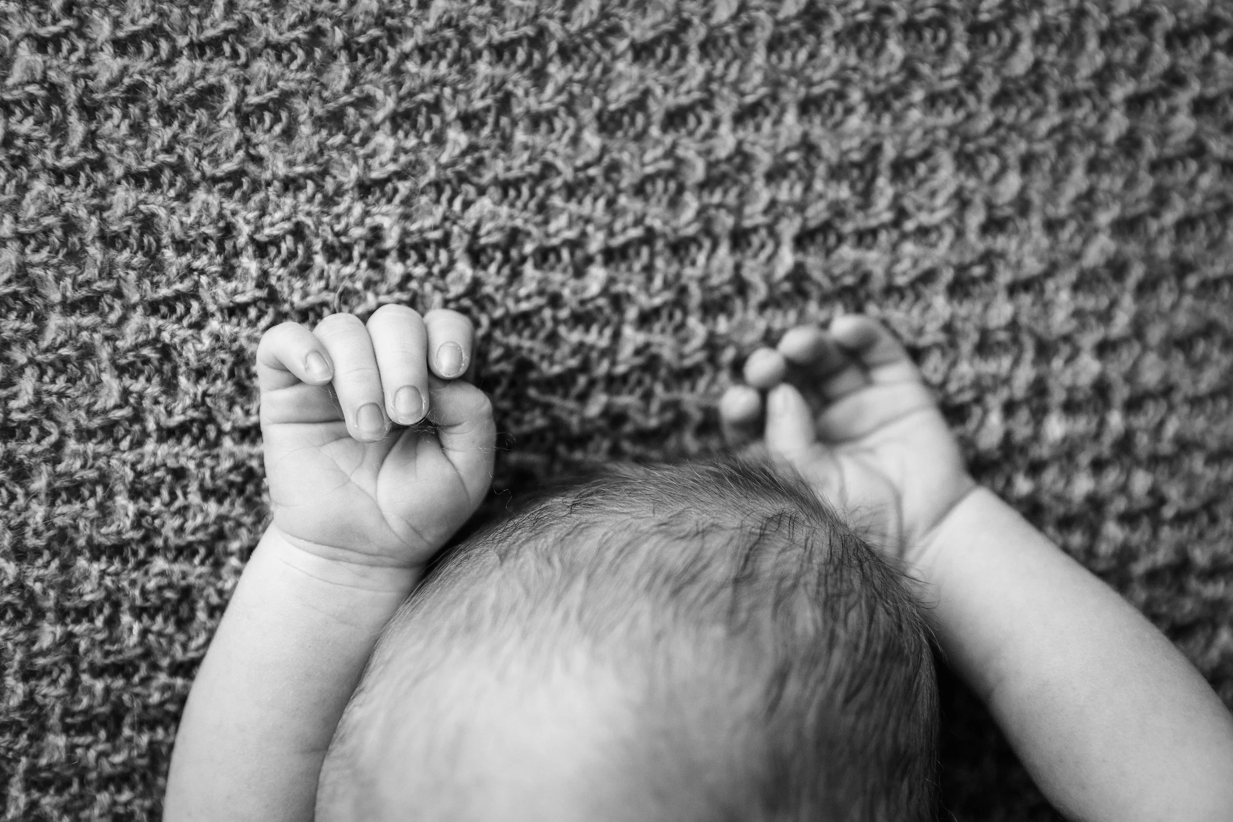 lily newborn -26bw-1.jpg