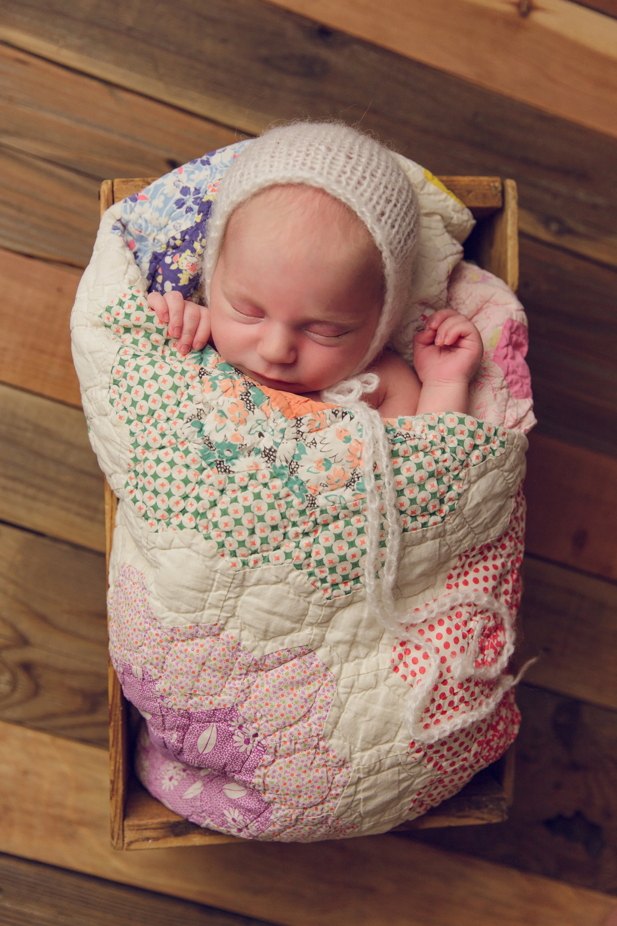 lily newborn -36.jpg