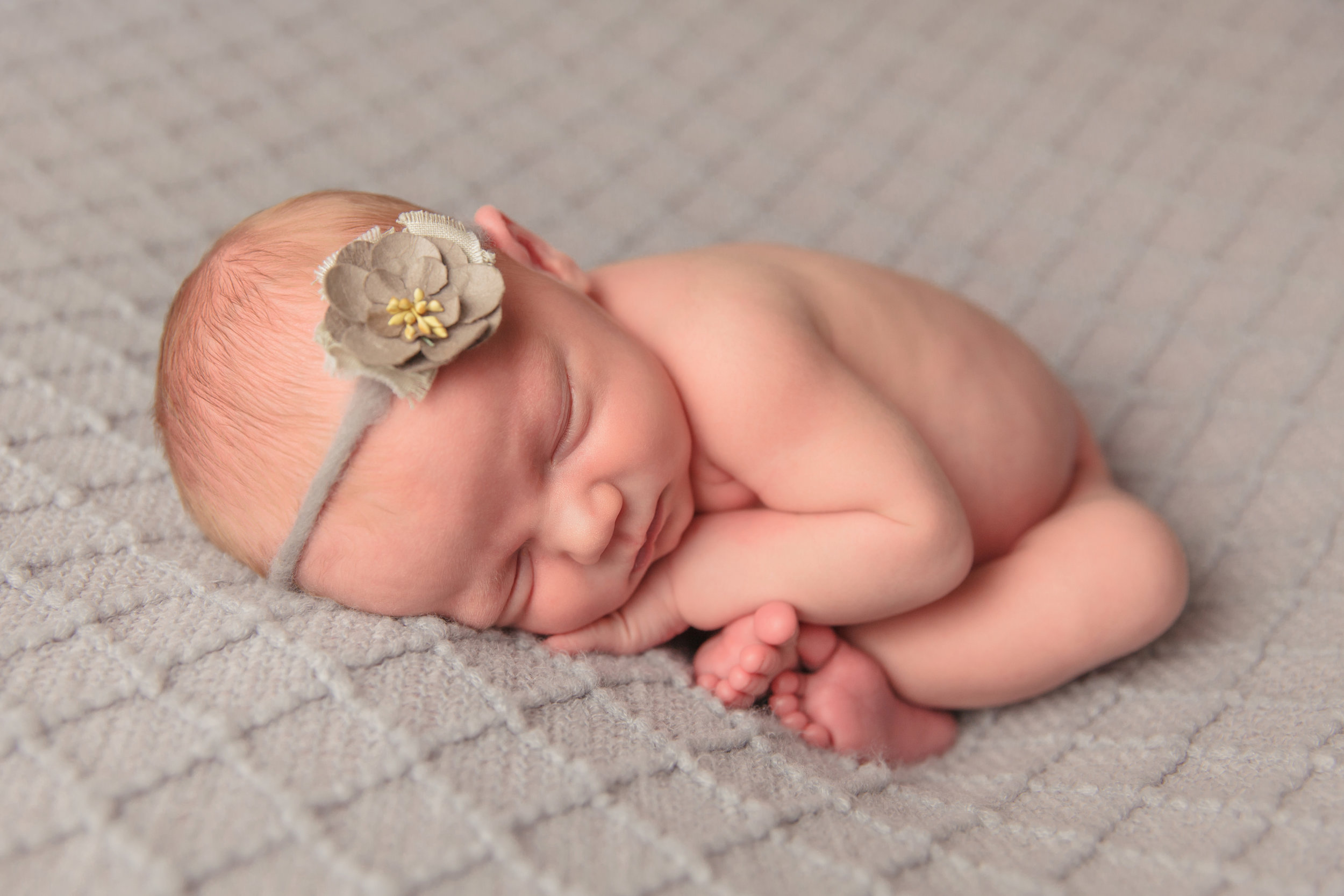 kolette newborn -6.jpg